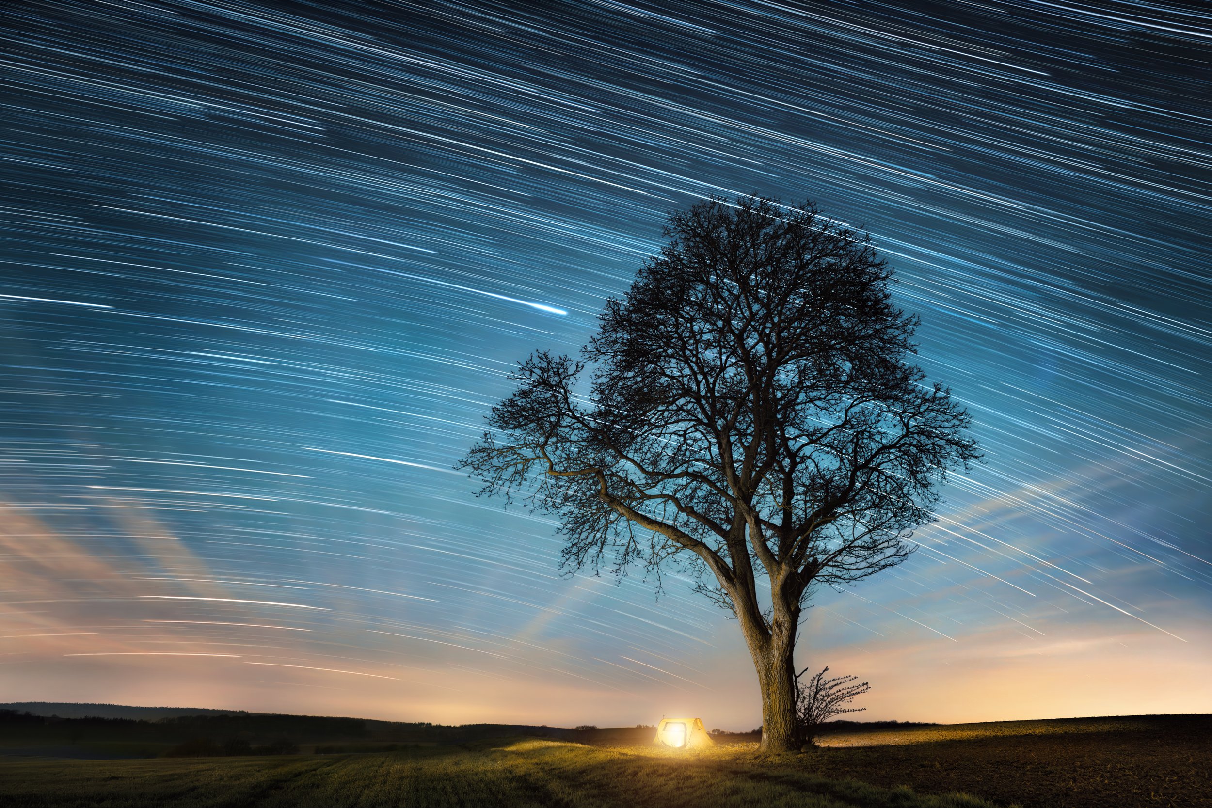 Curious about your dreams?