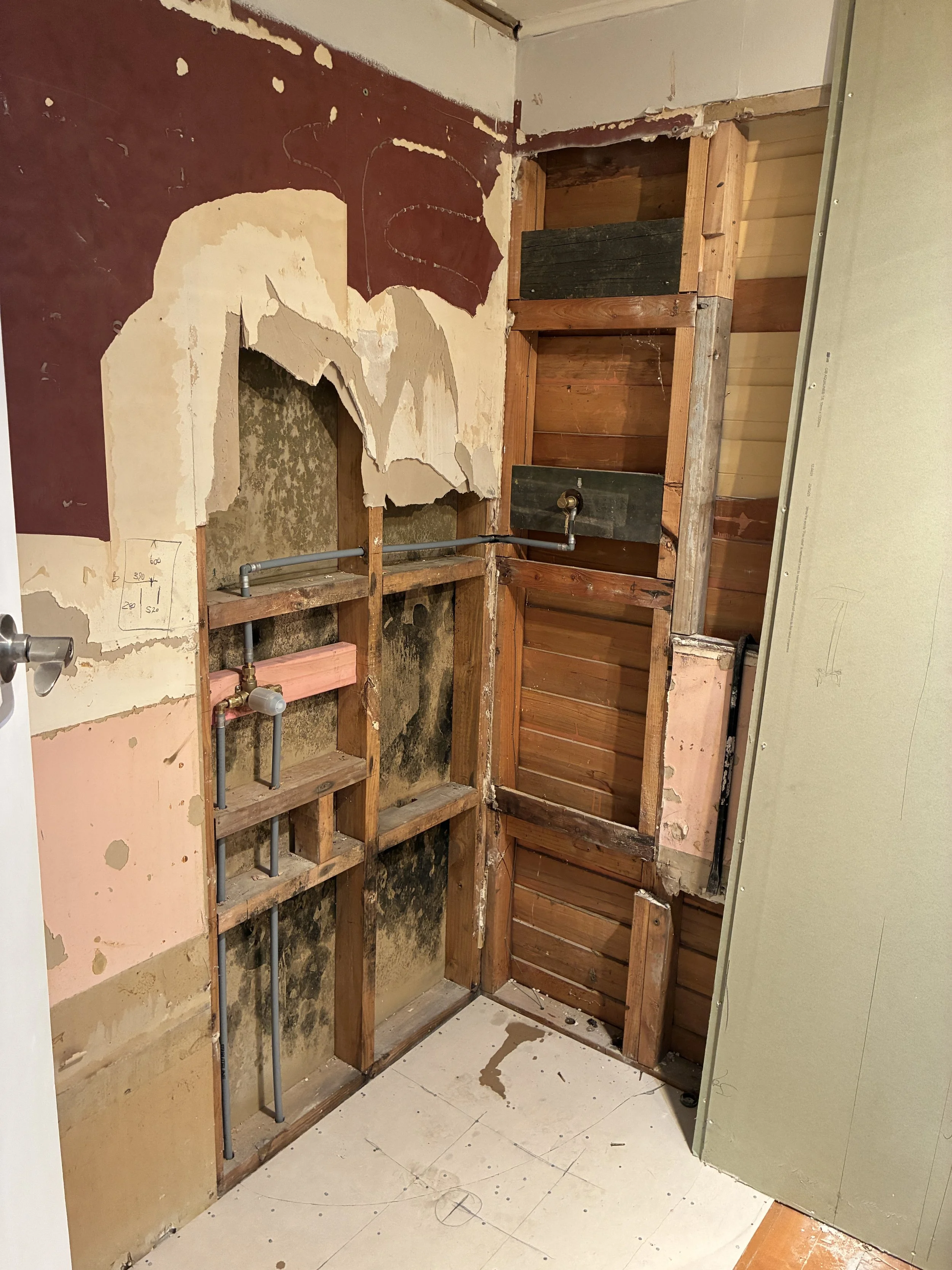 Reno plumb 8.JPG