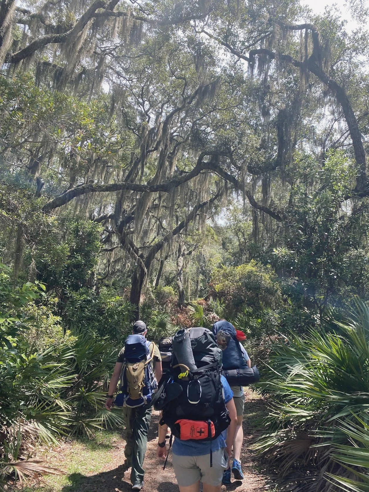 Cumberland Island