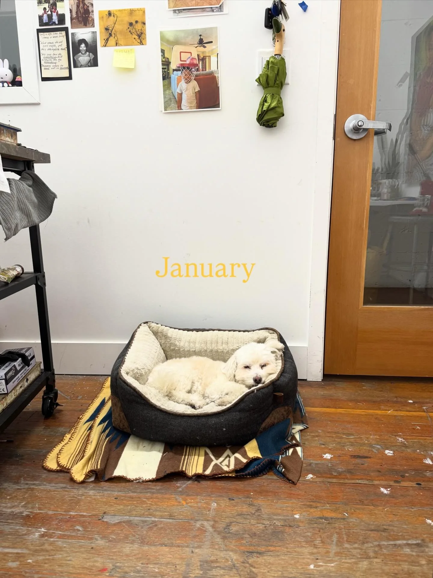 Big and small moments from 2025. 
Looking forward to all the possibilities in 2026!