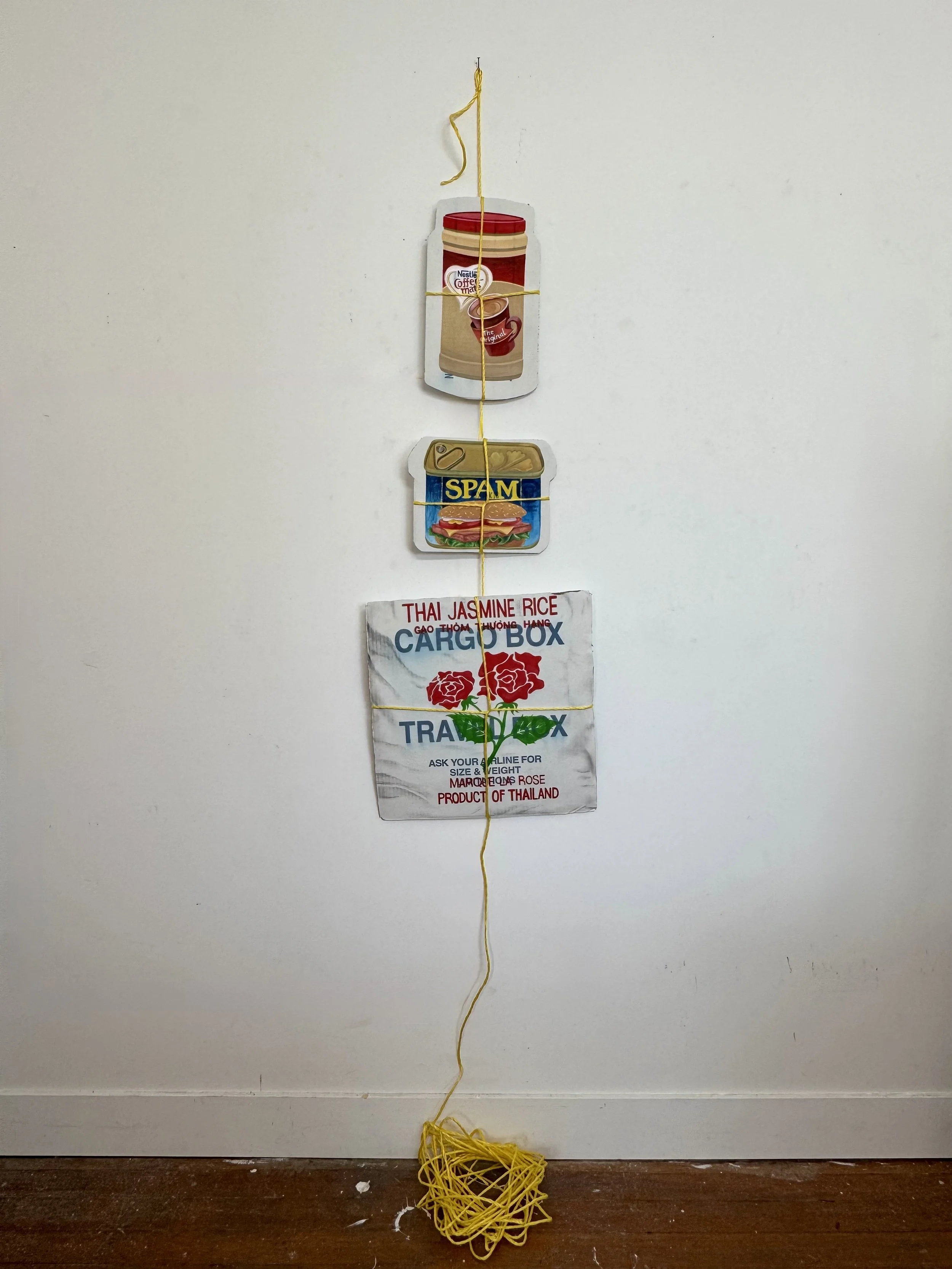 Don't Forget the Essentials, HxWXD, acrylic, cardboard, rope, 2025
