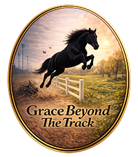 Grace Beyond The Track Standardbred Equine Rescue