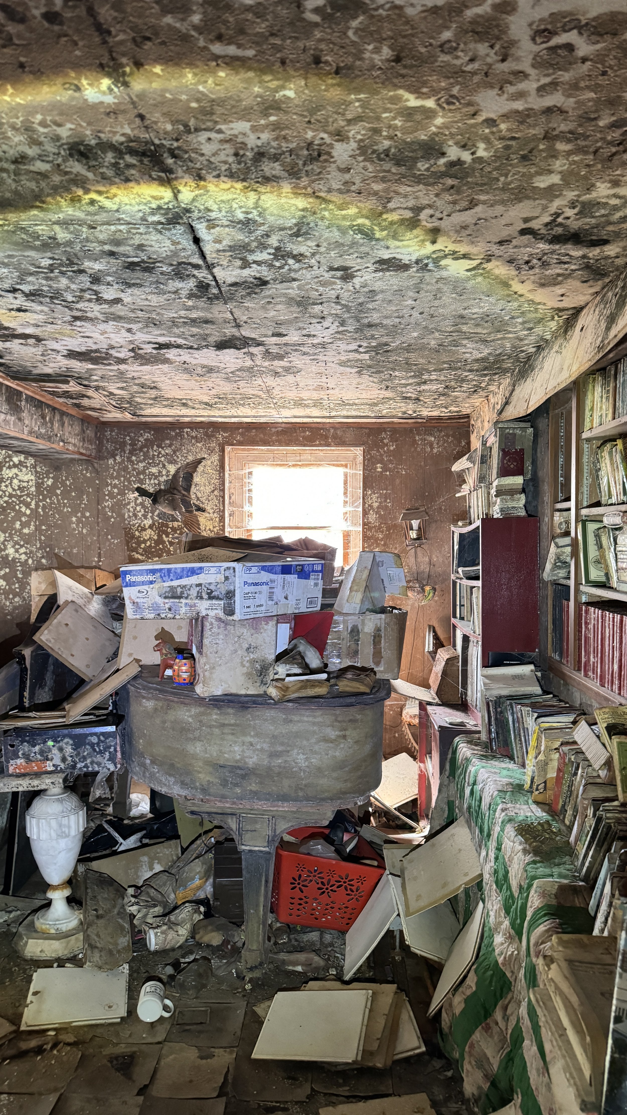 A cluttered, abandoned room with a stained, moldy ceiling, messy floor, overstuffed bookshelves, and a window emitting bright light. Debris and broken items are scattered across the floor and surfaces.