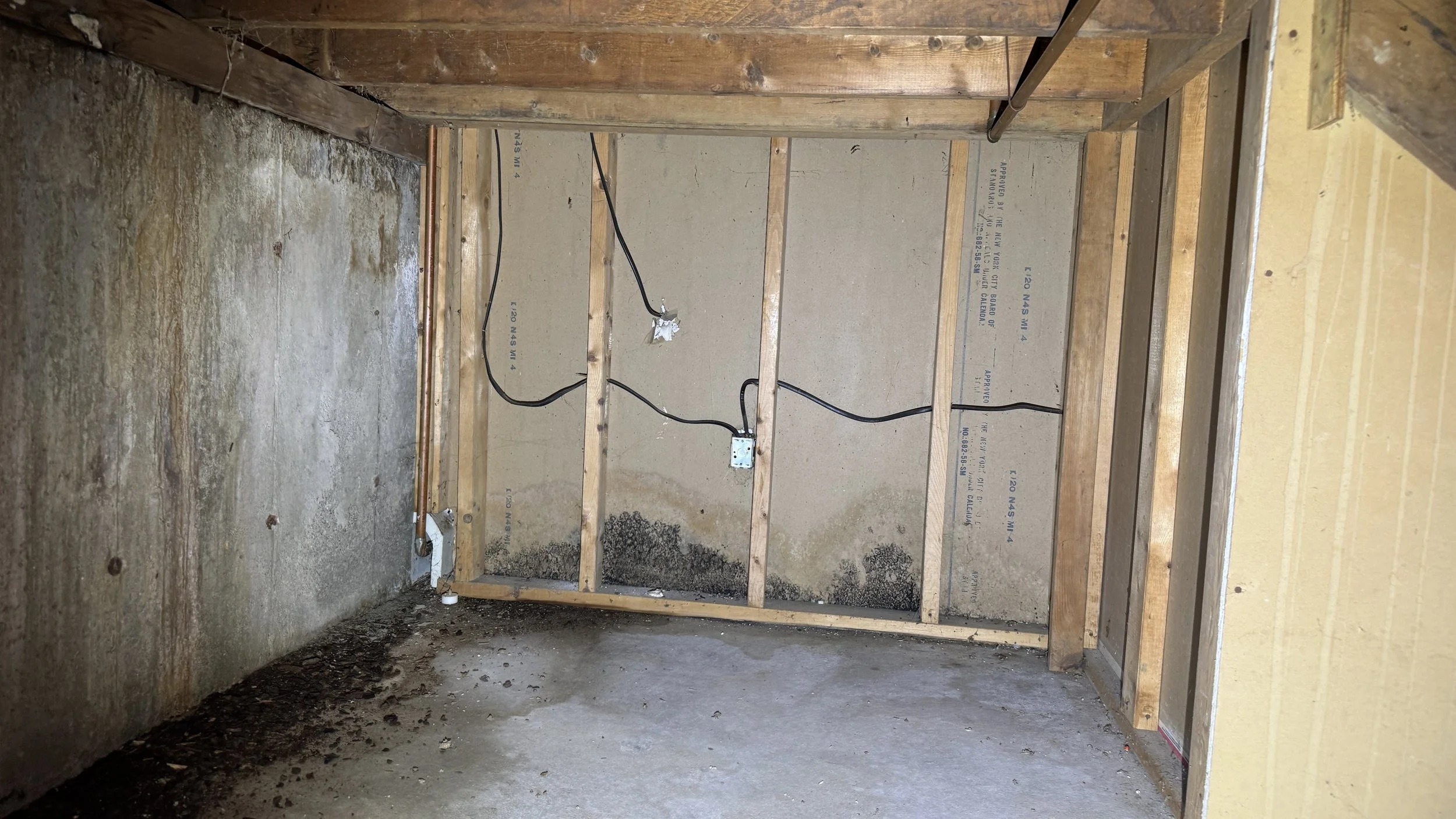 visible mold growth on drywall
