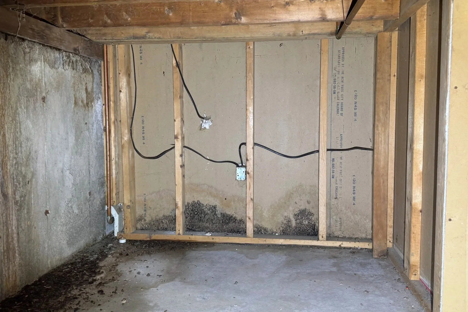 photo of mold on drywall