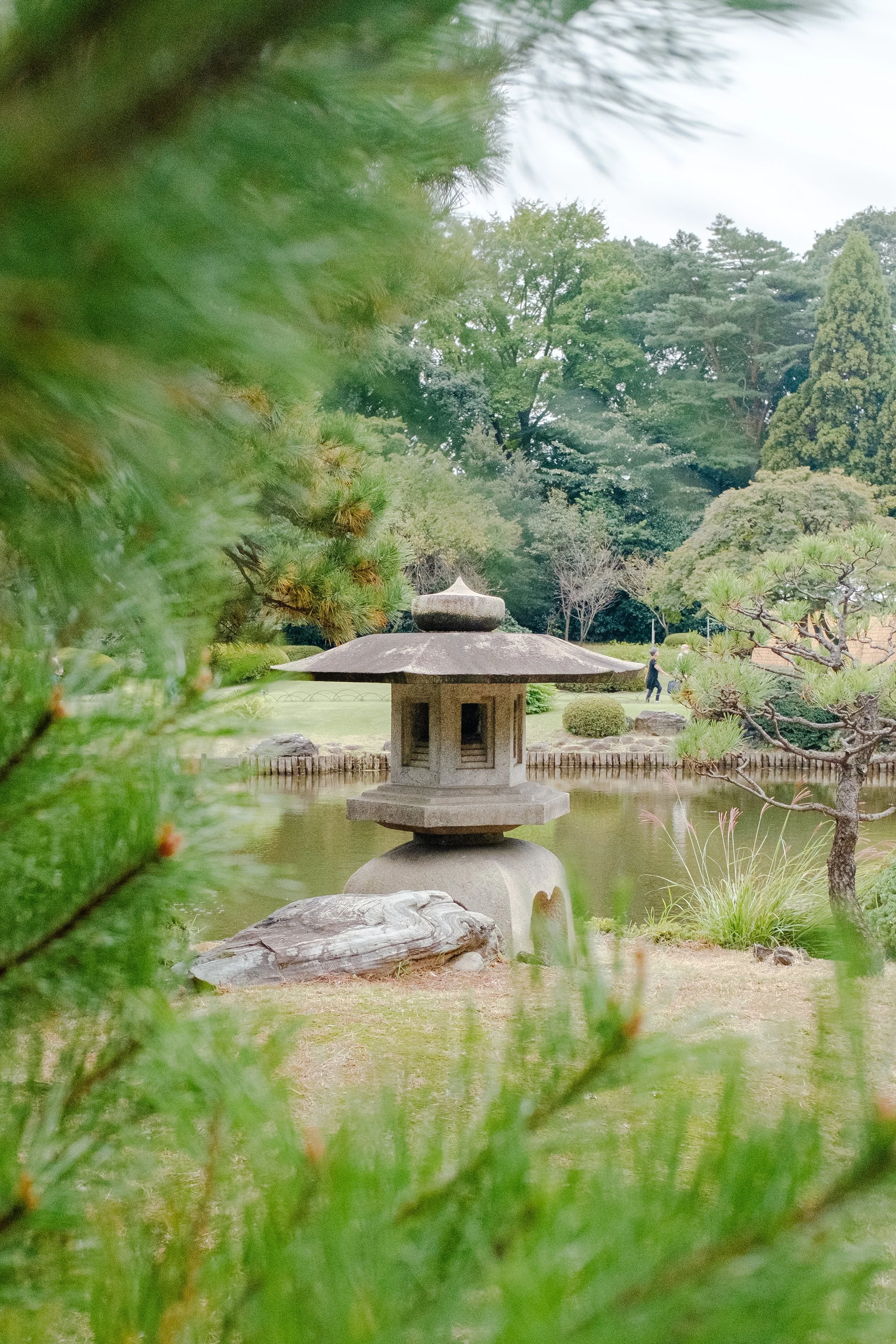 20241025_Japan 2024_x100F_Shinjuku Gyoen National Garden_443_edit.jpg