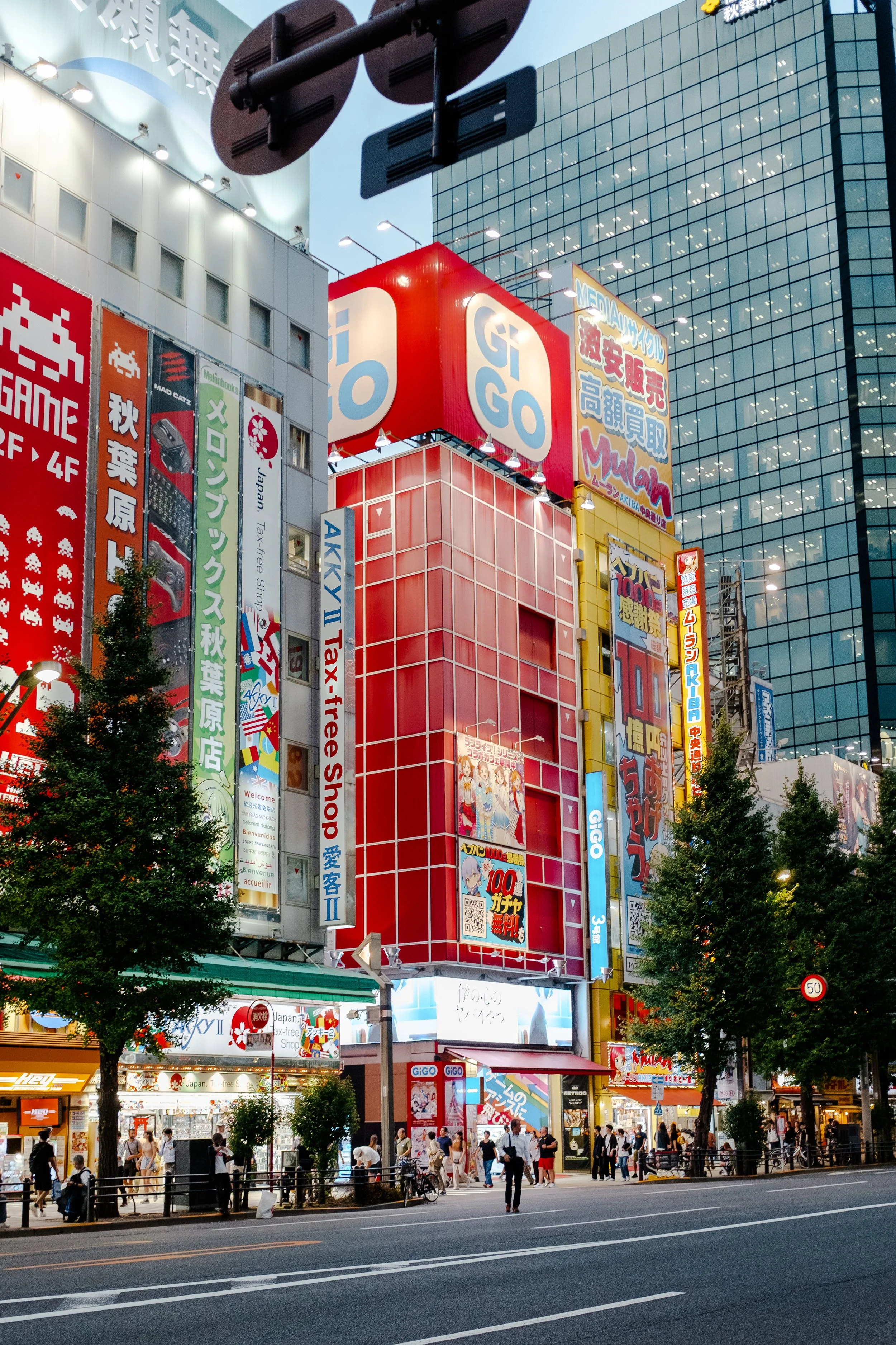 20241017_Japan 2024_x100F_Akihabara_147.jpg