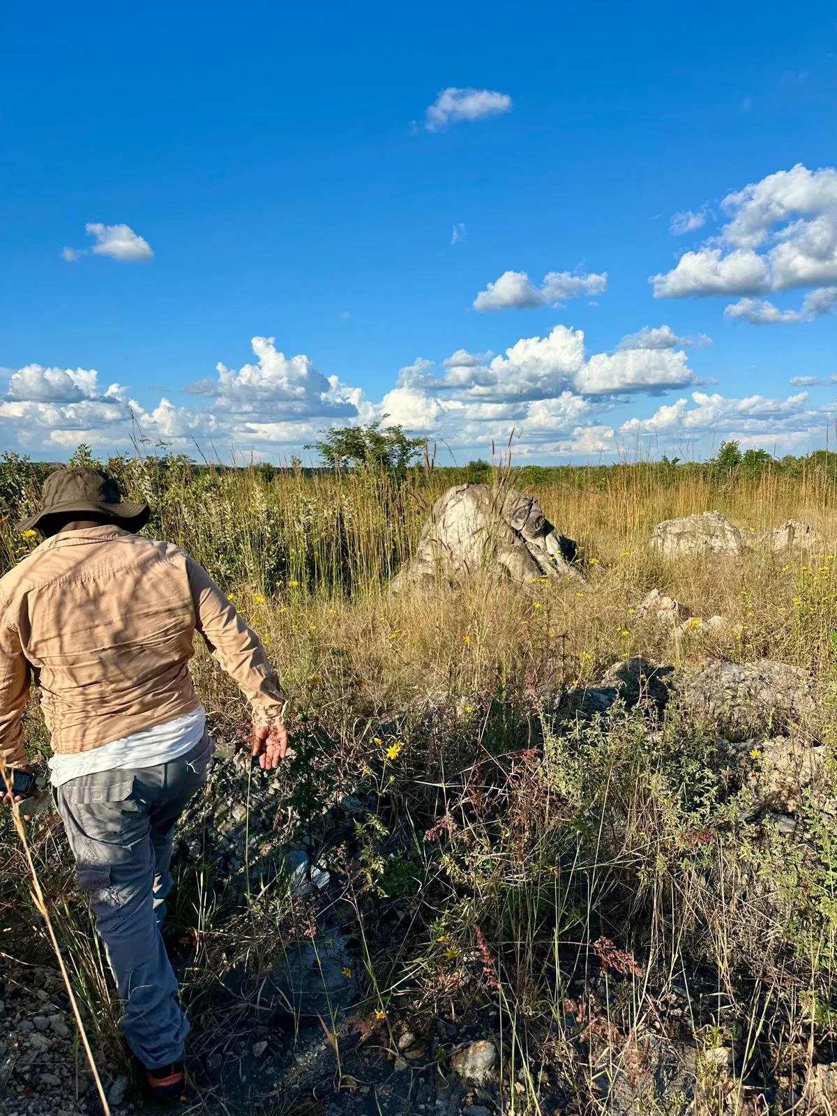 Person walking through a grassy, rocky field under a blue sky with scattered clouds.