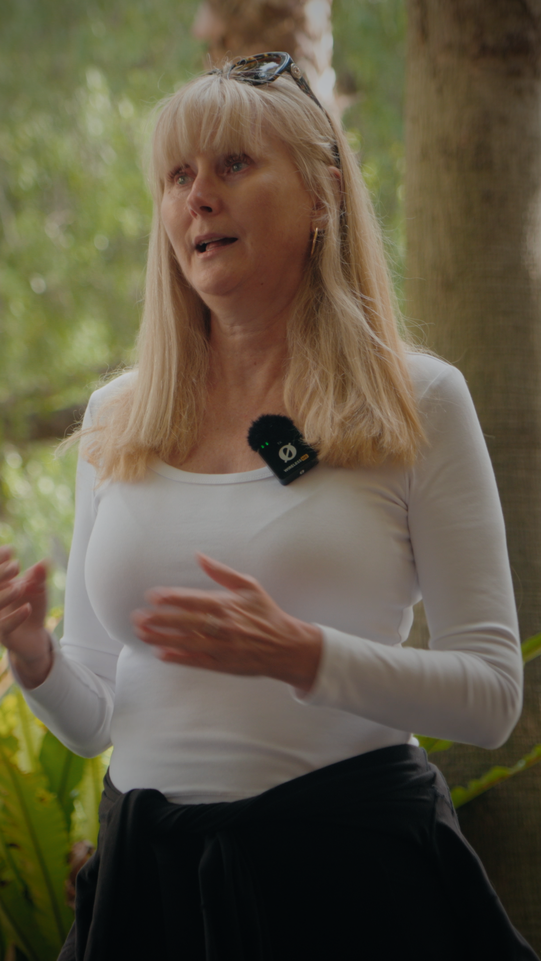 Still 2026-01-15 192411_1.26.1.png