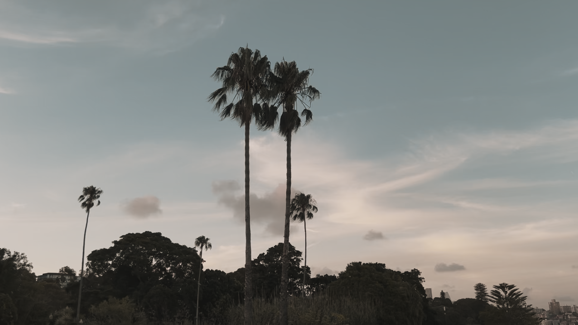 Still 2026-01-15 212921_1.8.1.png