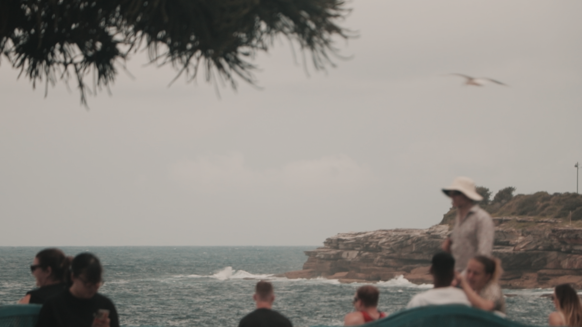 Still 2026-01-15 212921_1.6.1.png