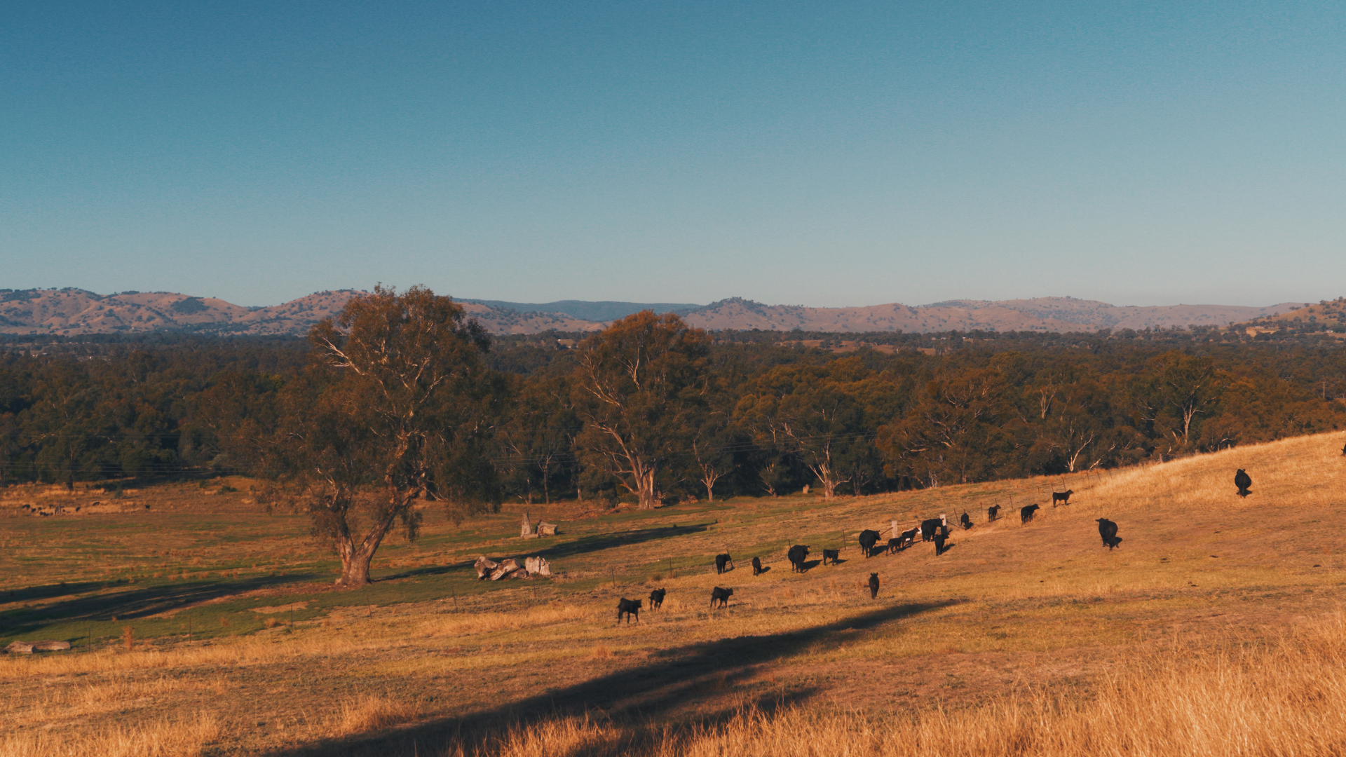 Still 2026-01-15 213852_1.8.1.png