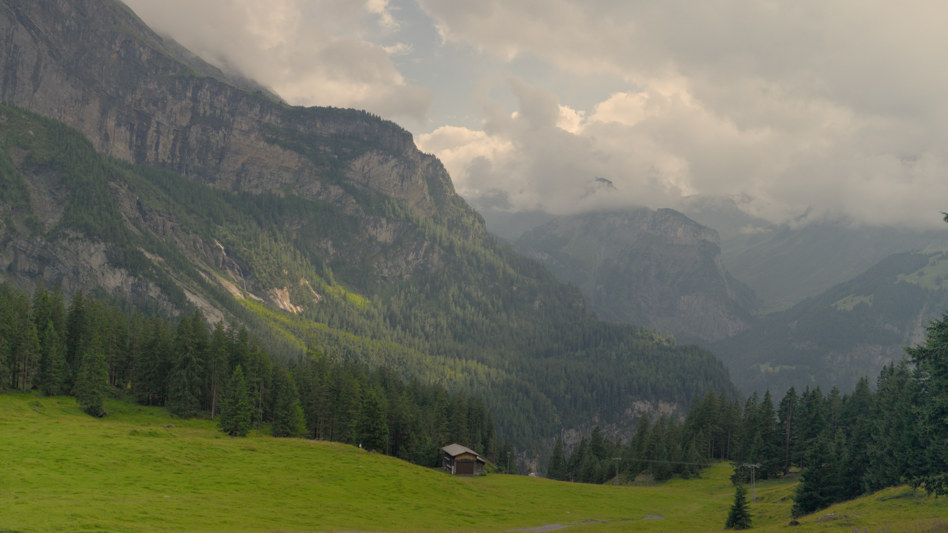 Still 2026-01-15 203945_2.6.1.png