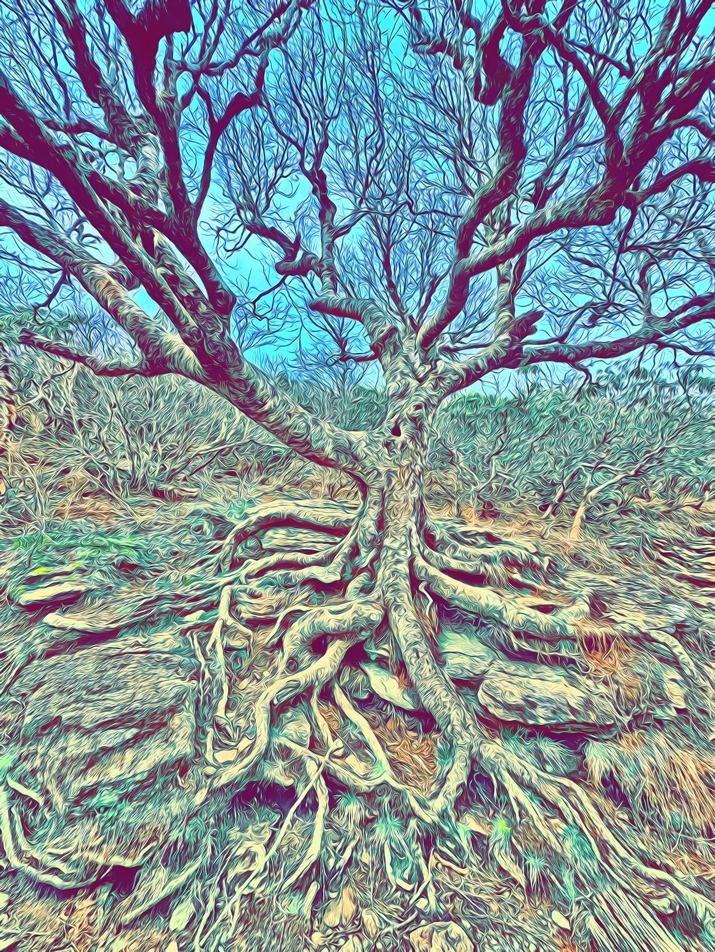 A digitally stylized image of a large, leafless tree with sprawling roots and twisting branches.