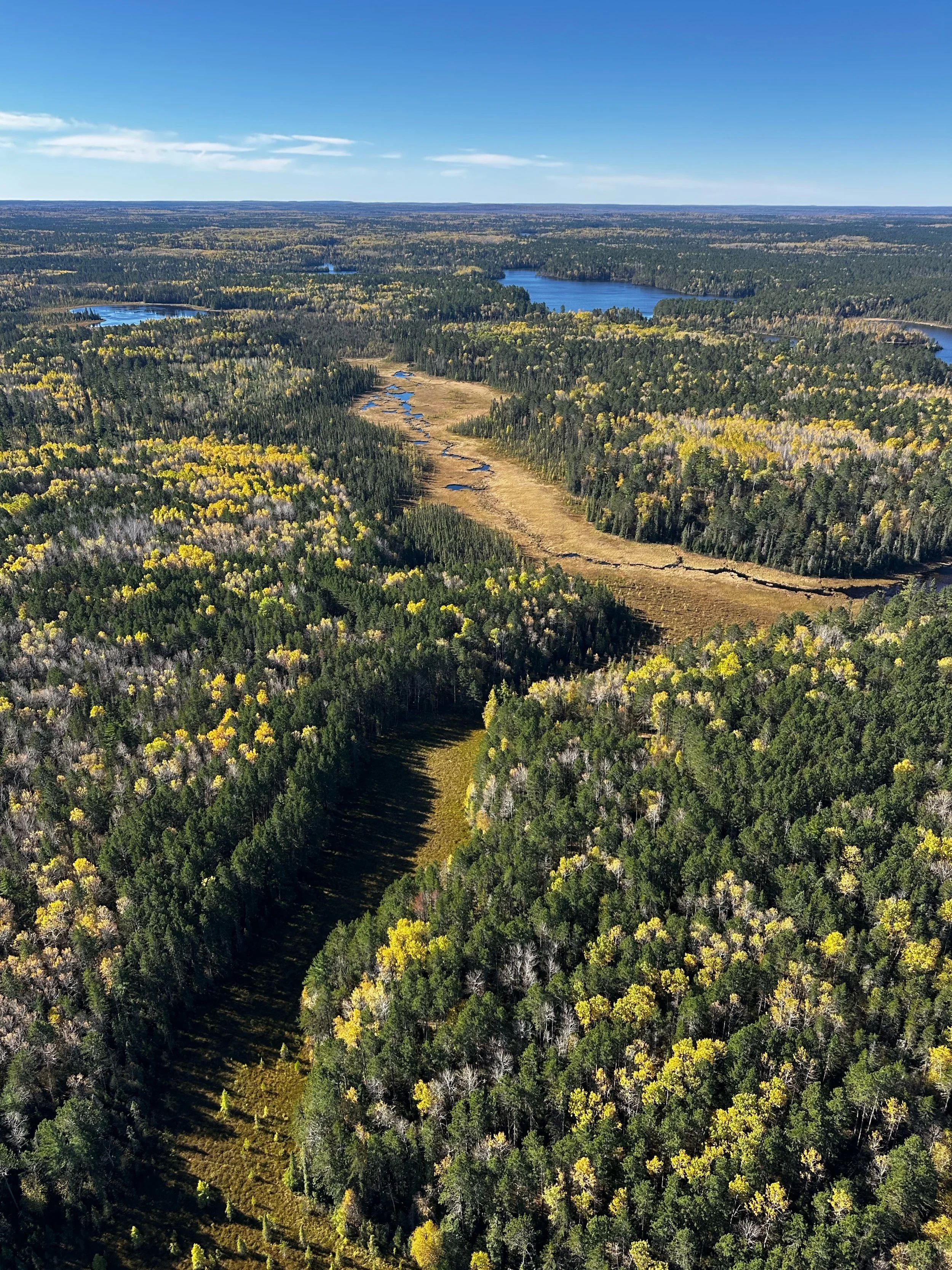 An aerial view of a lush green forest with some yellow trees, a small river or stream running through it, and a few lakes in the distance under a clear blue sky.
