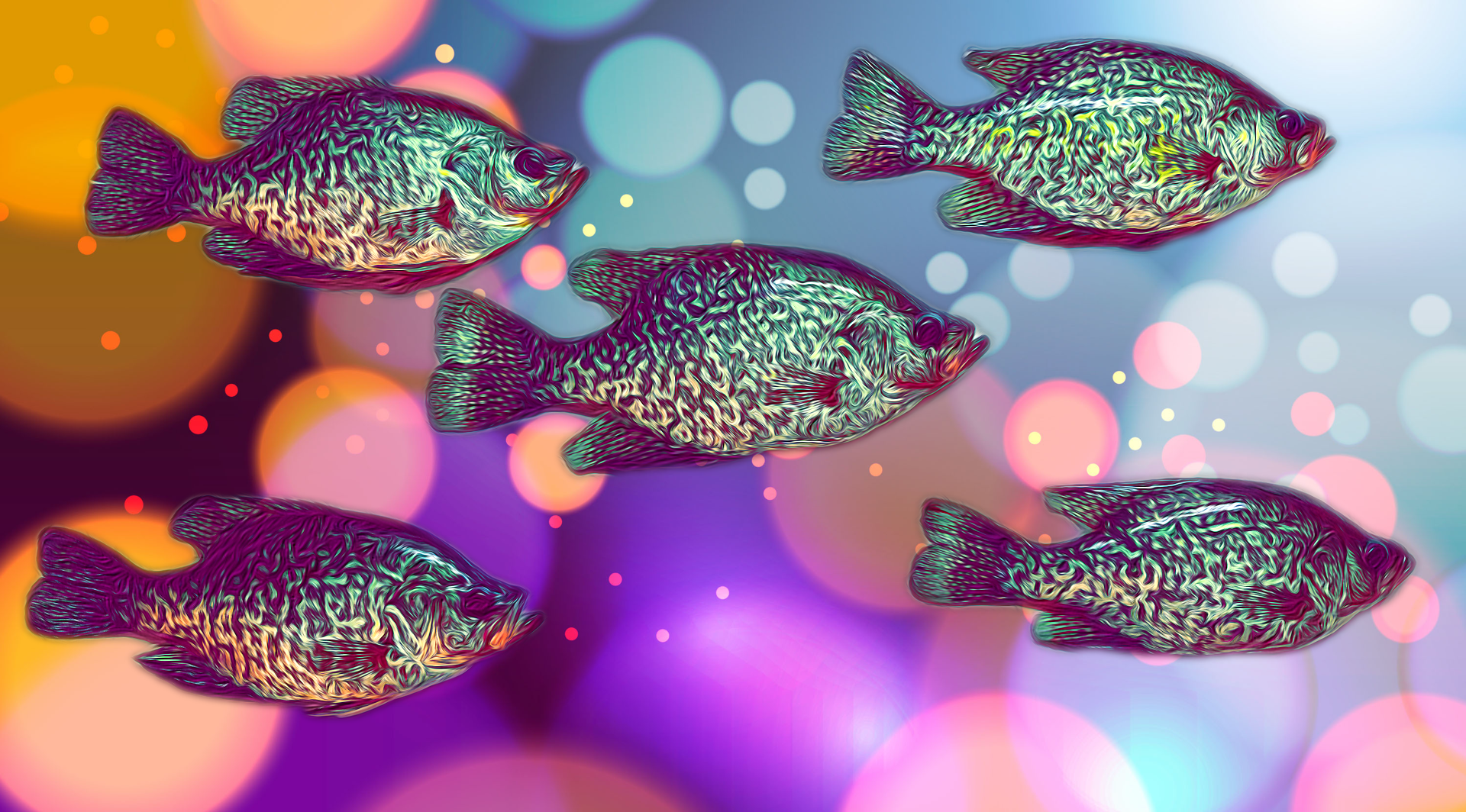 Colorful digital illustration of five fish swimming with a vibrant, bokeh-filled background.