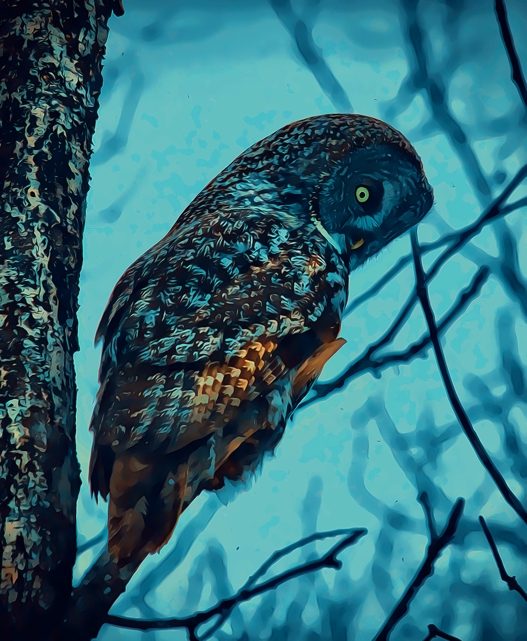 Great Gray