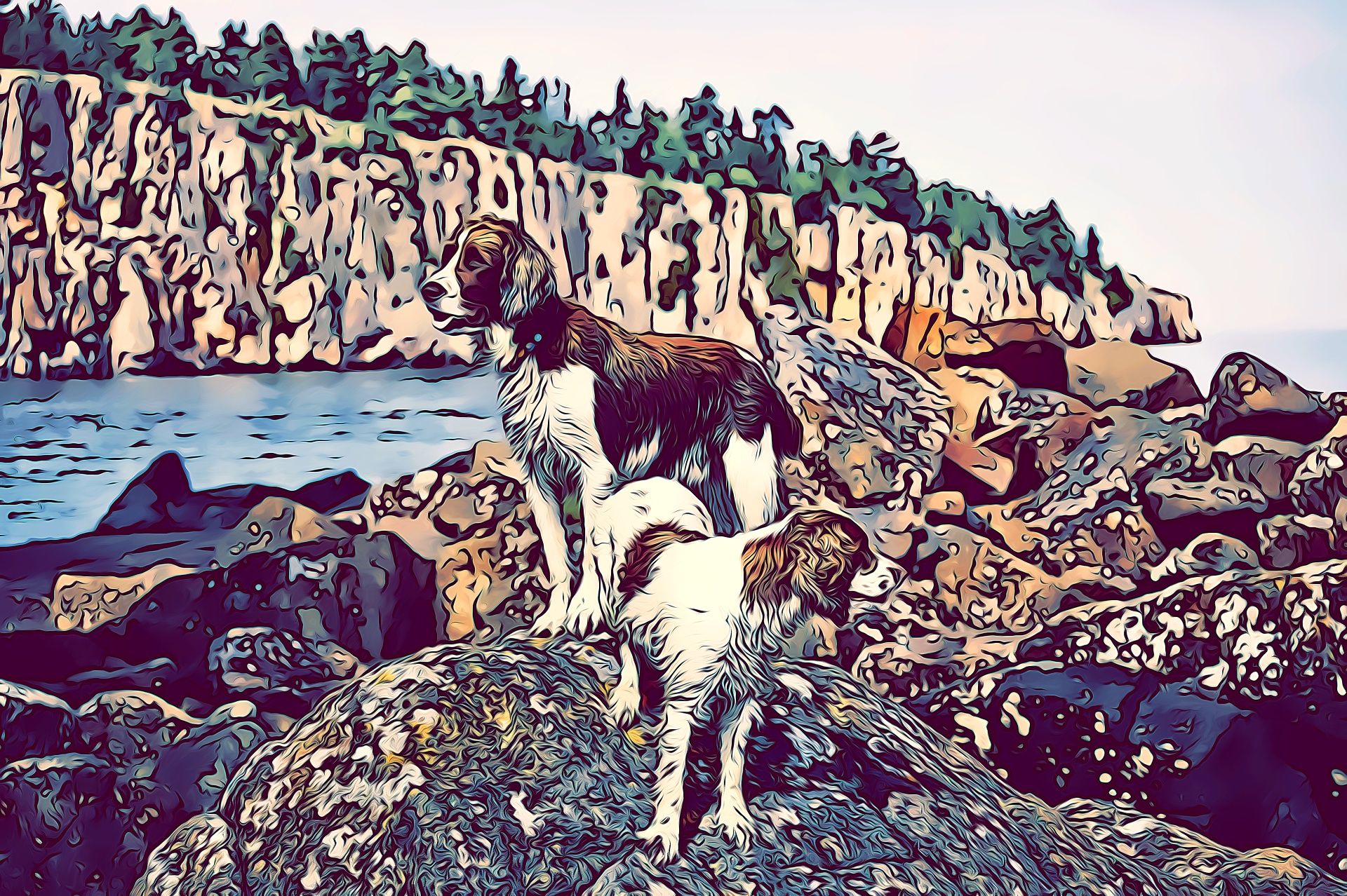 Shovel Point Springers