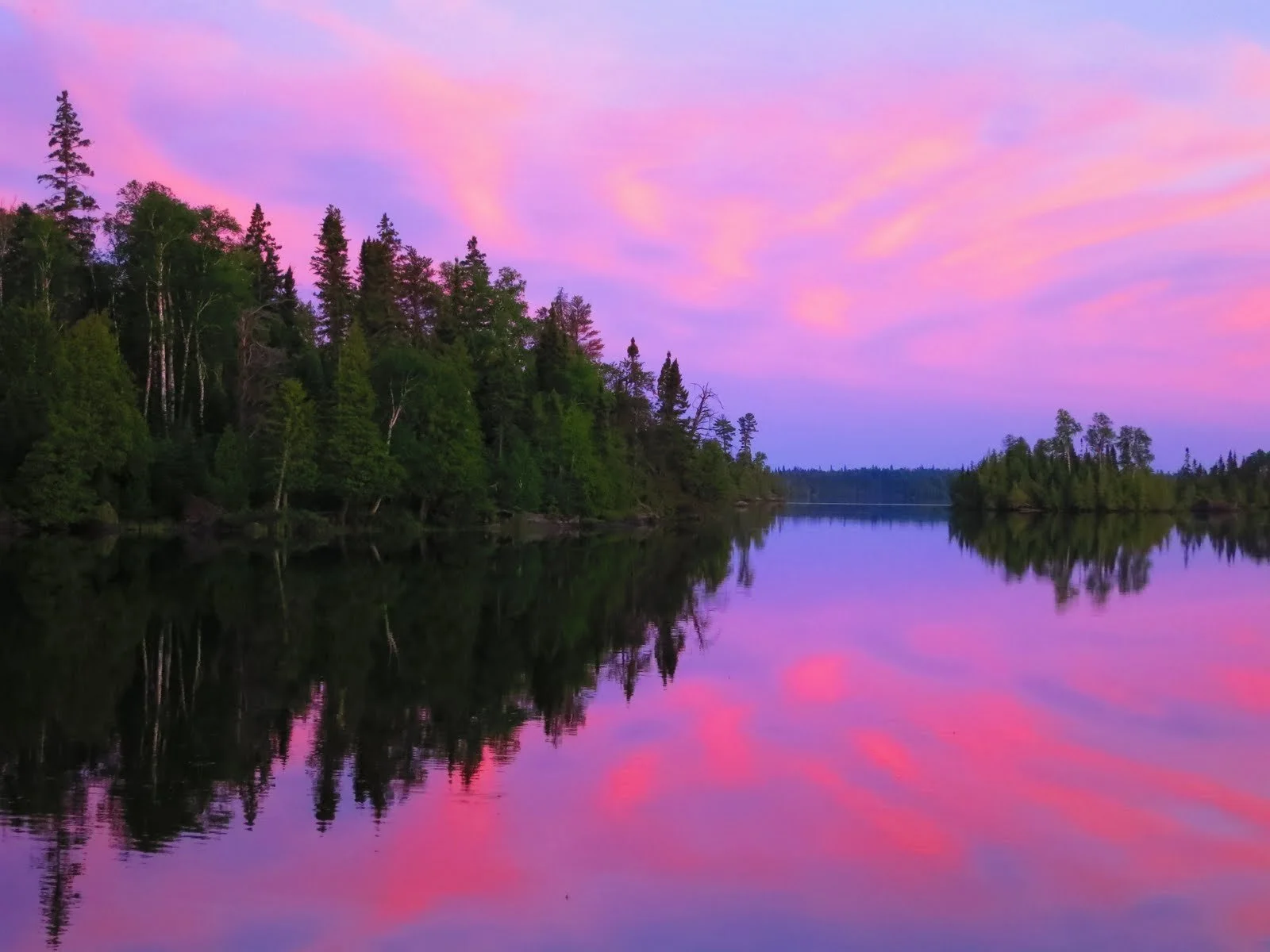 Pink Sunset