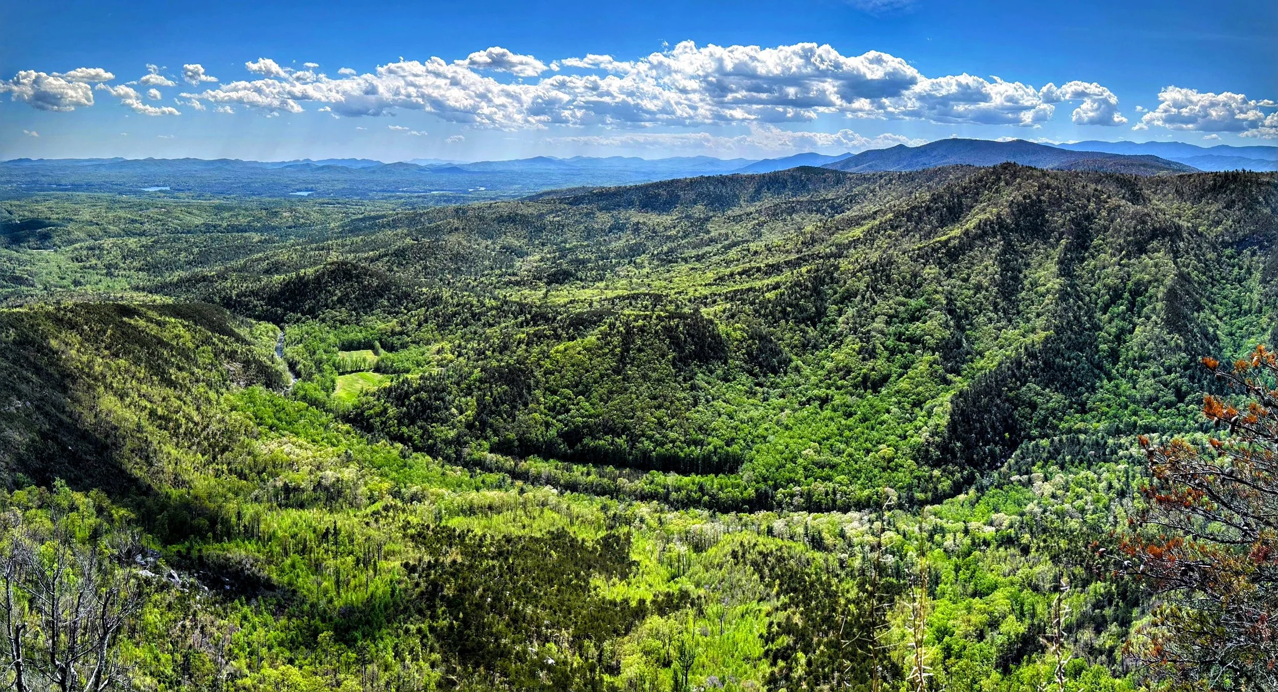 Linville Gorge