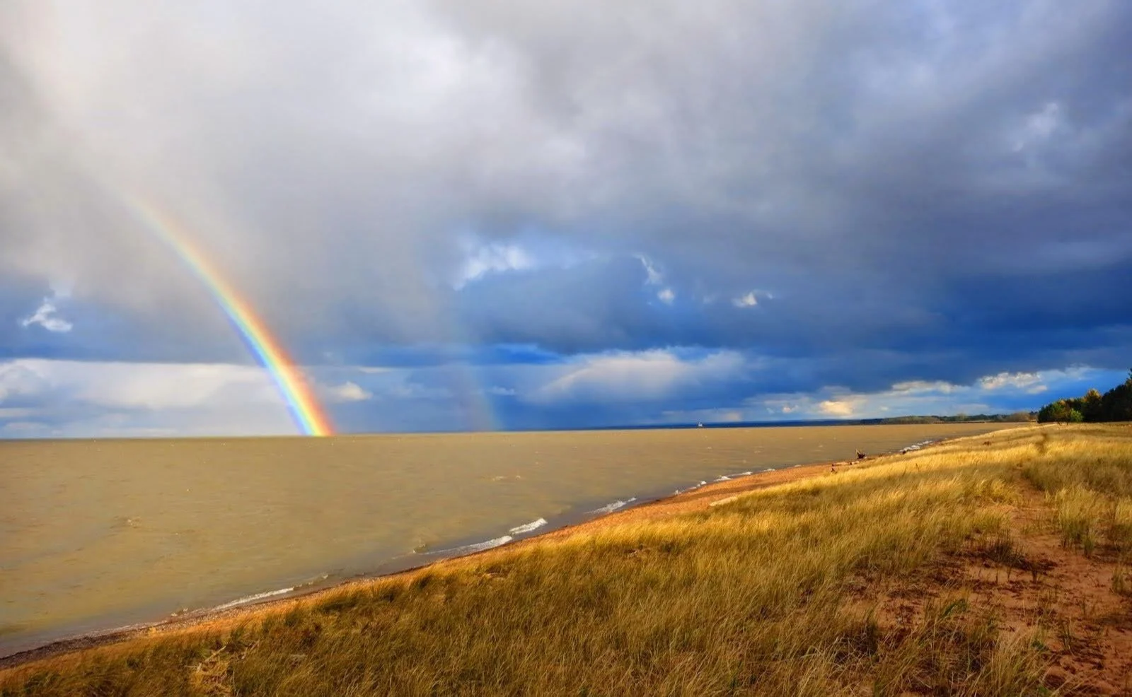 Park Point Rainbow