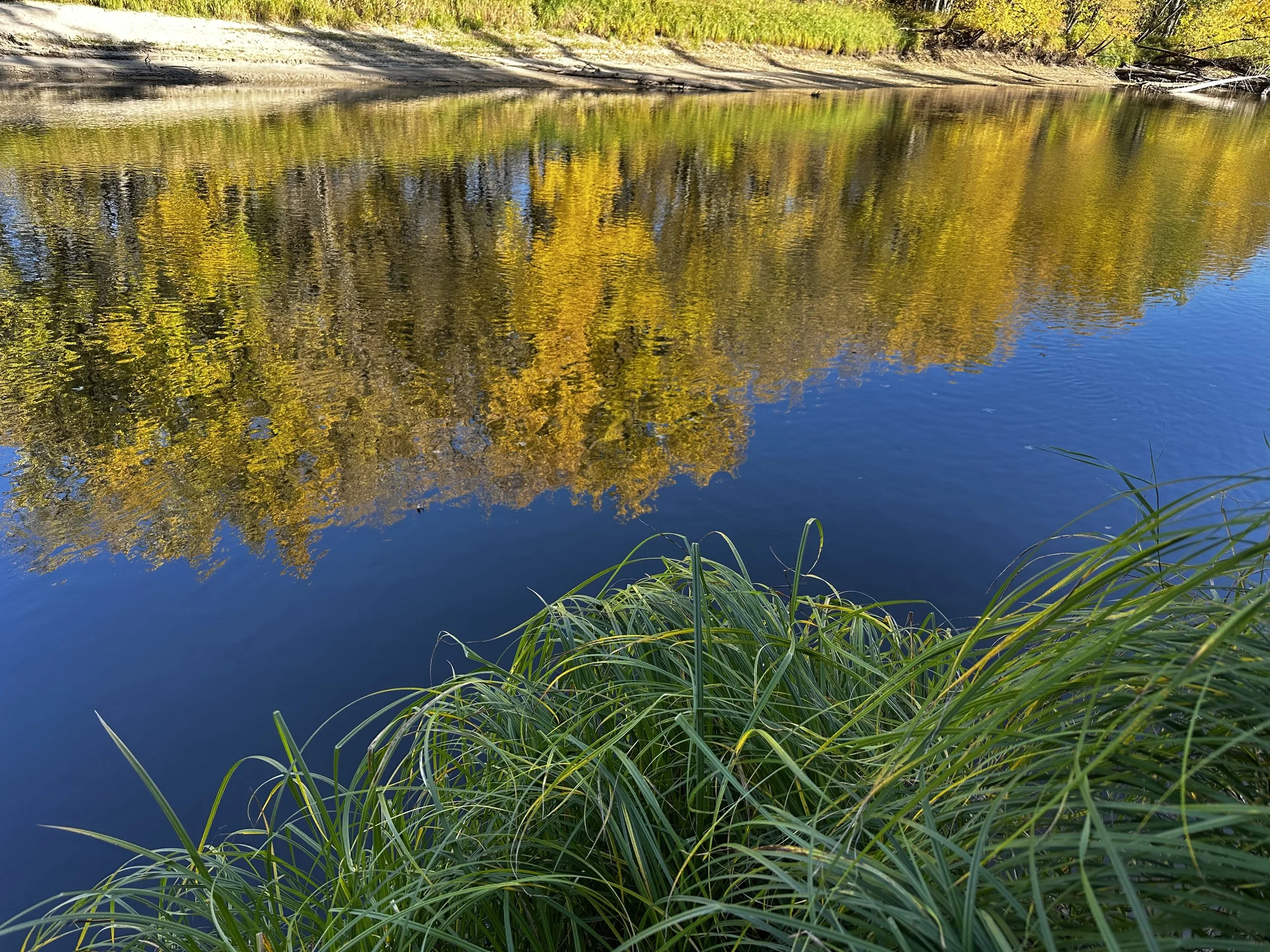 Mississippi Reflections.