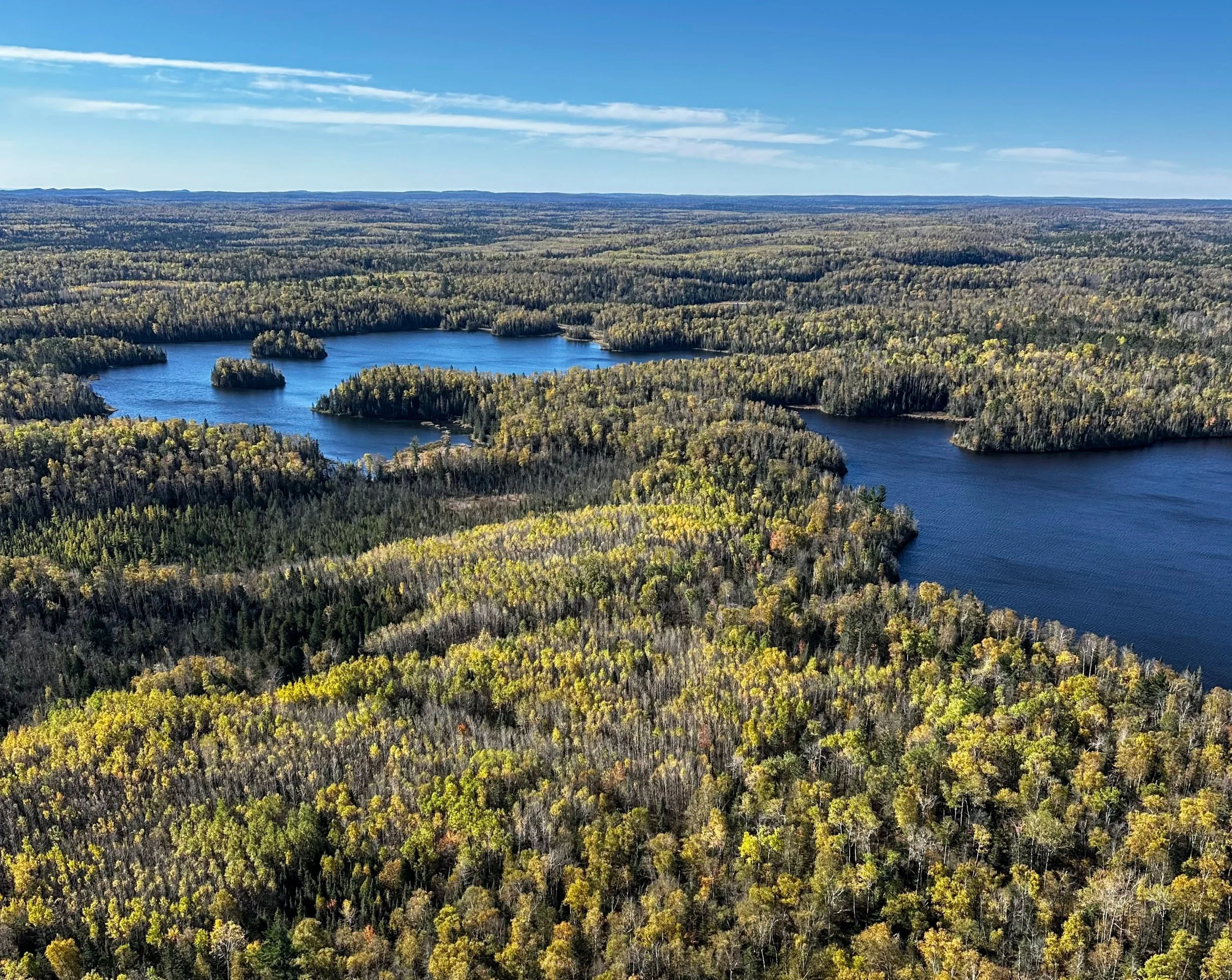 Lake and Forest