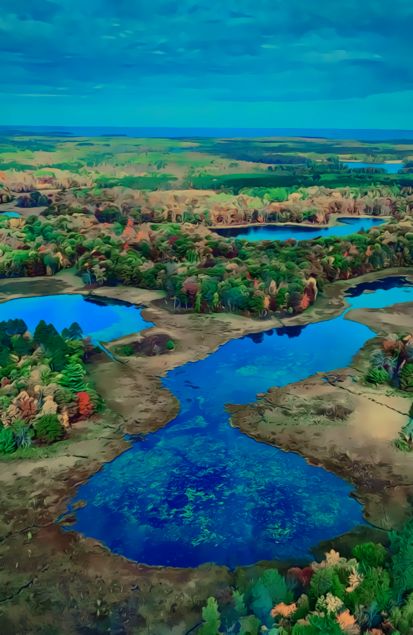 Minnesota Marsh