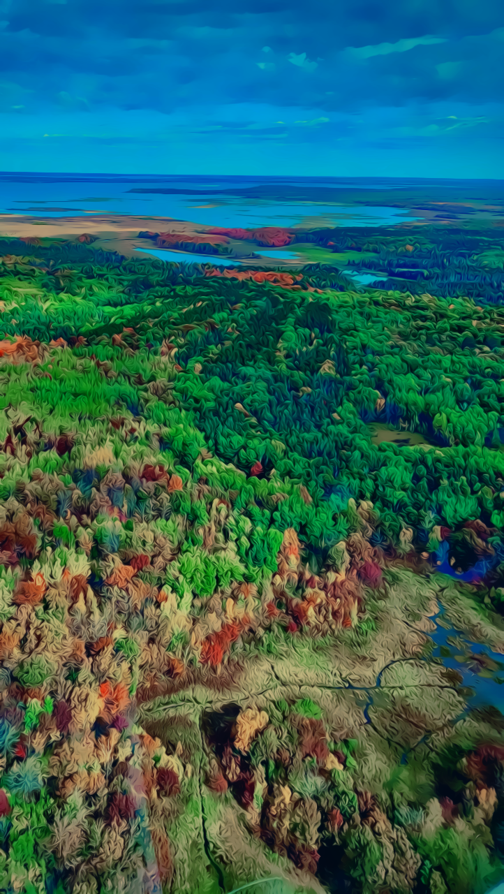 Leech Lake