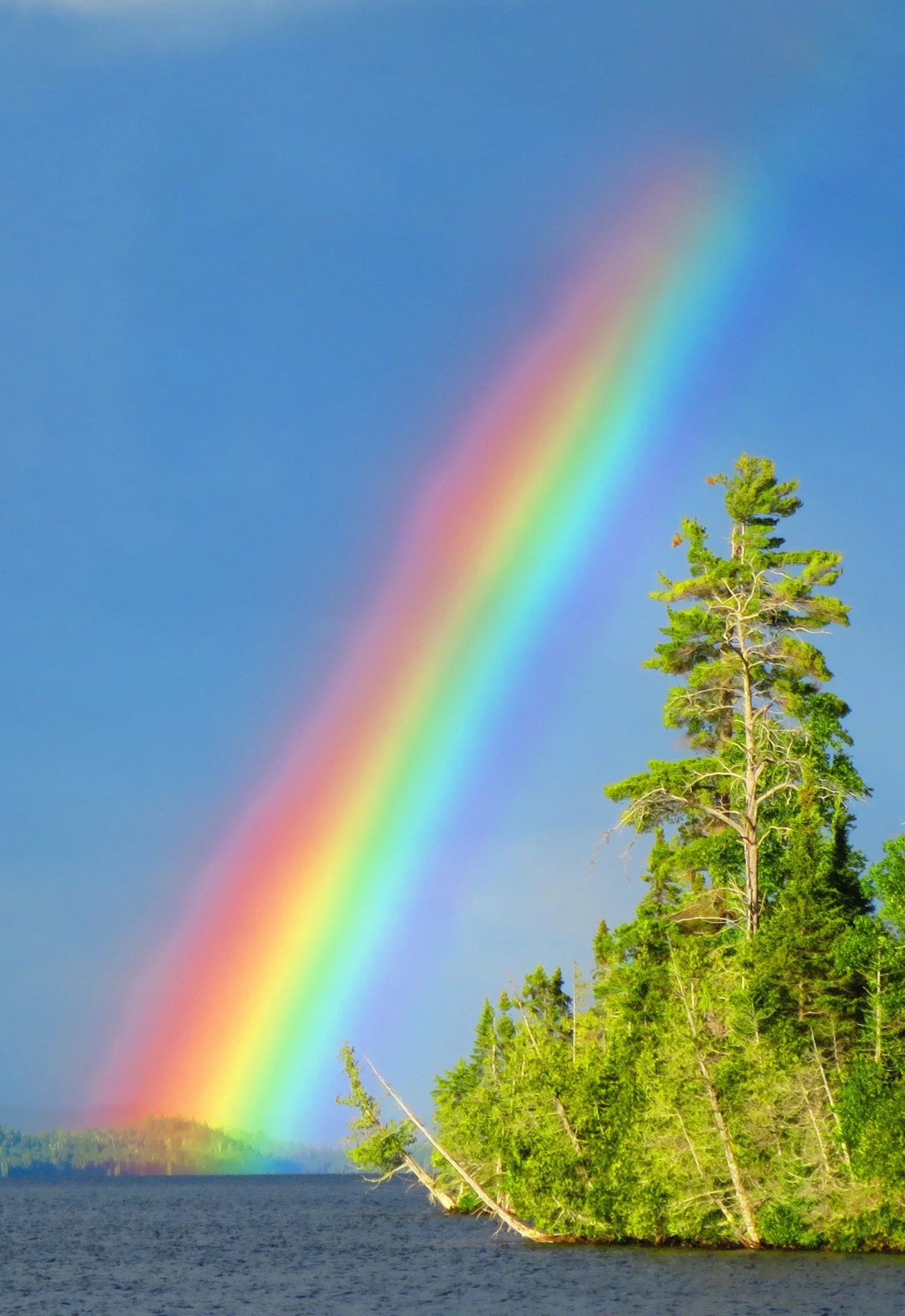 Nice rainbow on Brule Lake.
