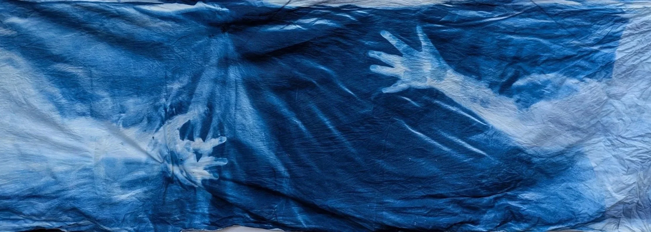 Tree Hug - Quesnel, BC