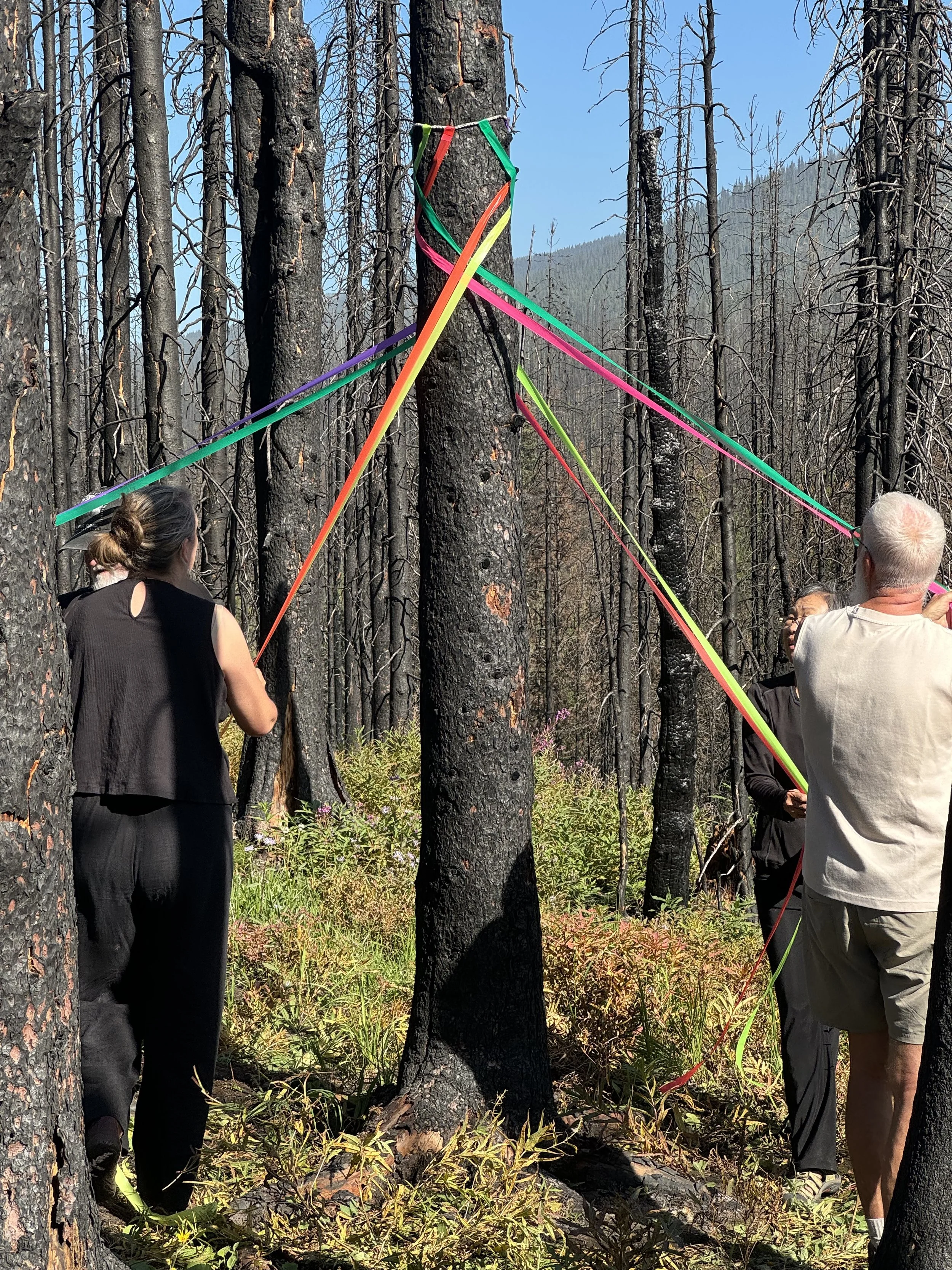 Maypole Dance After the Fire - Antler Creek, BC