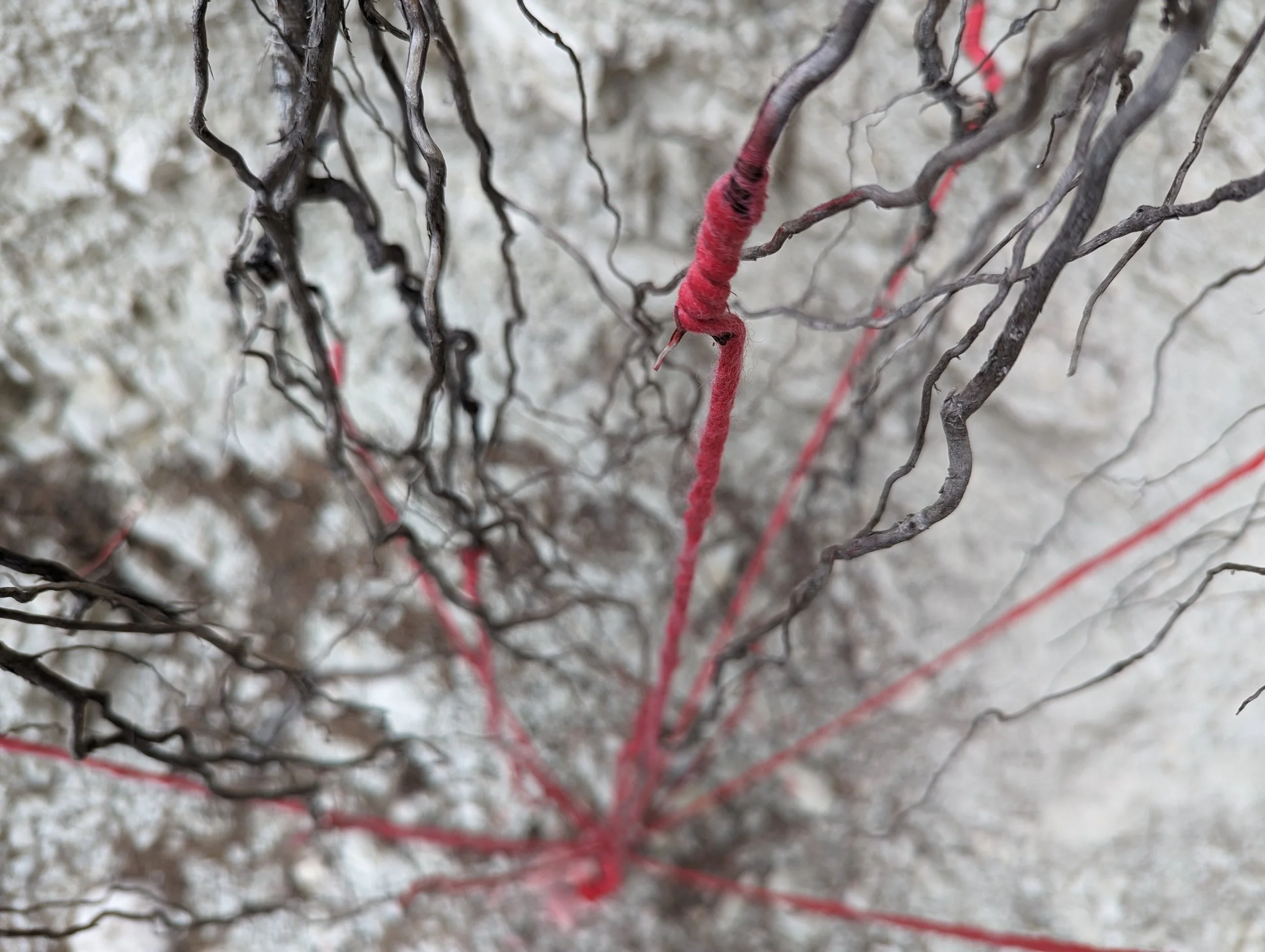 Rooted (detail)-installtion with yarn,dye-2024.jpg