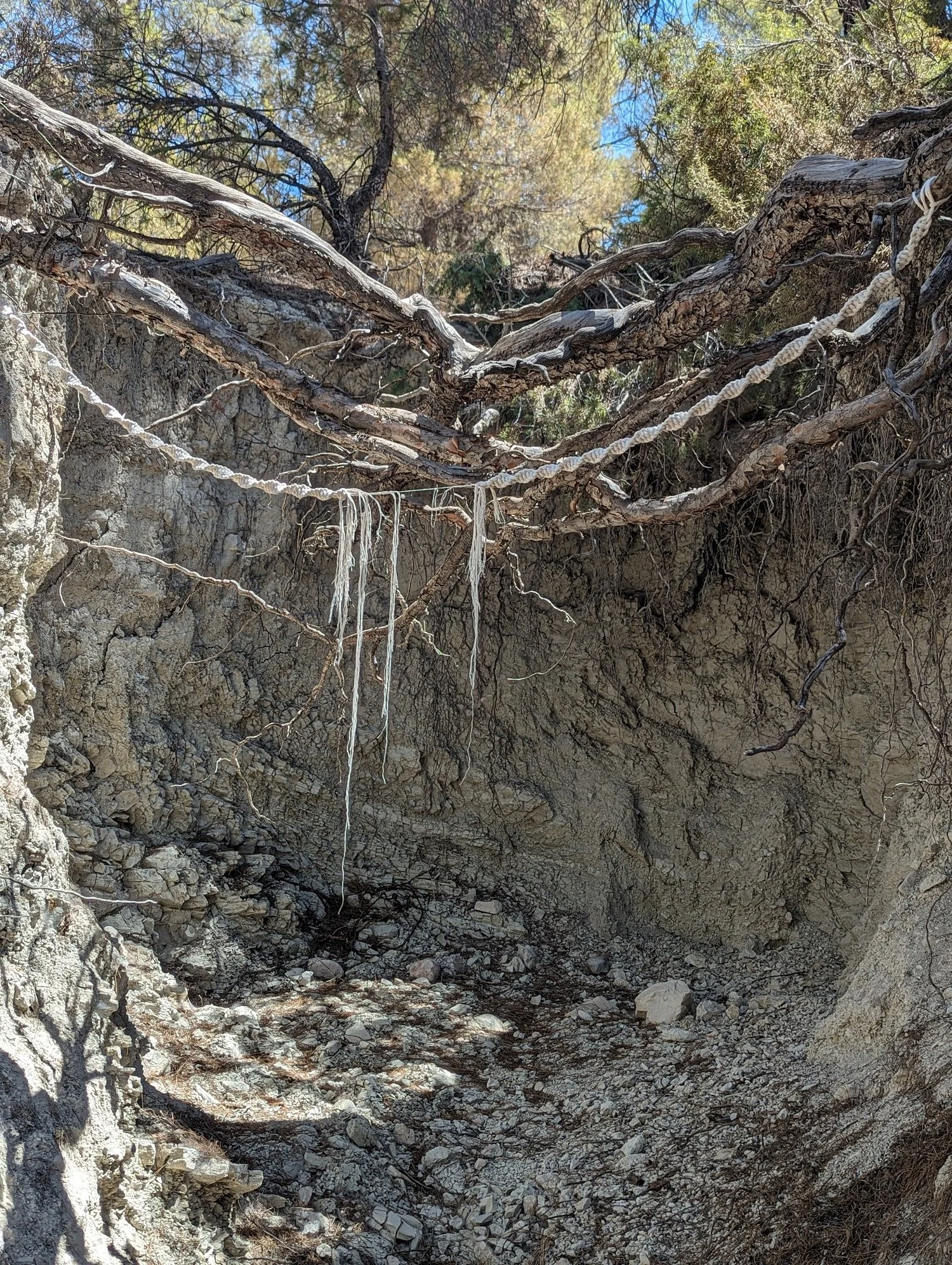 Attached-installation with macrame-approx 48inches wide-2024.jpg