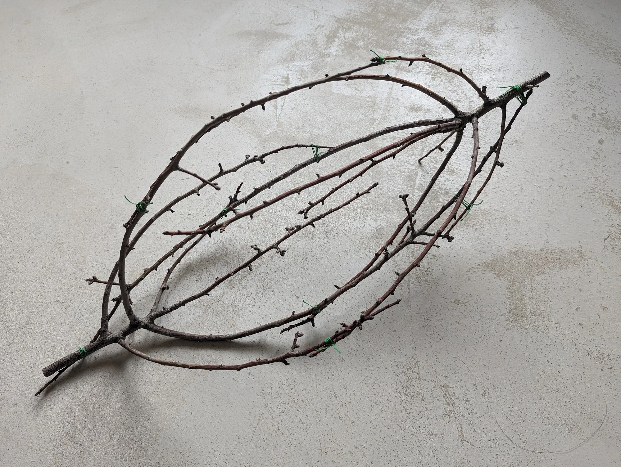 Grafted Lineages 2-branches and string-12x12x30inches-2024.jpg