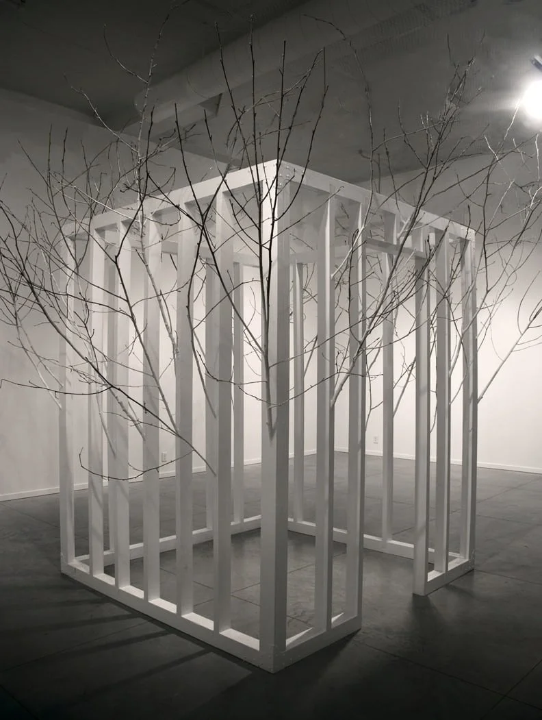 Forest for the Trees: Barbara Maye, Tanya Pixie Johnson, Ian Johnston and Nadie Stefan. Image: Nadine Stefan: Habitat.