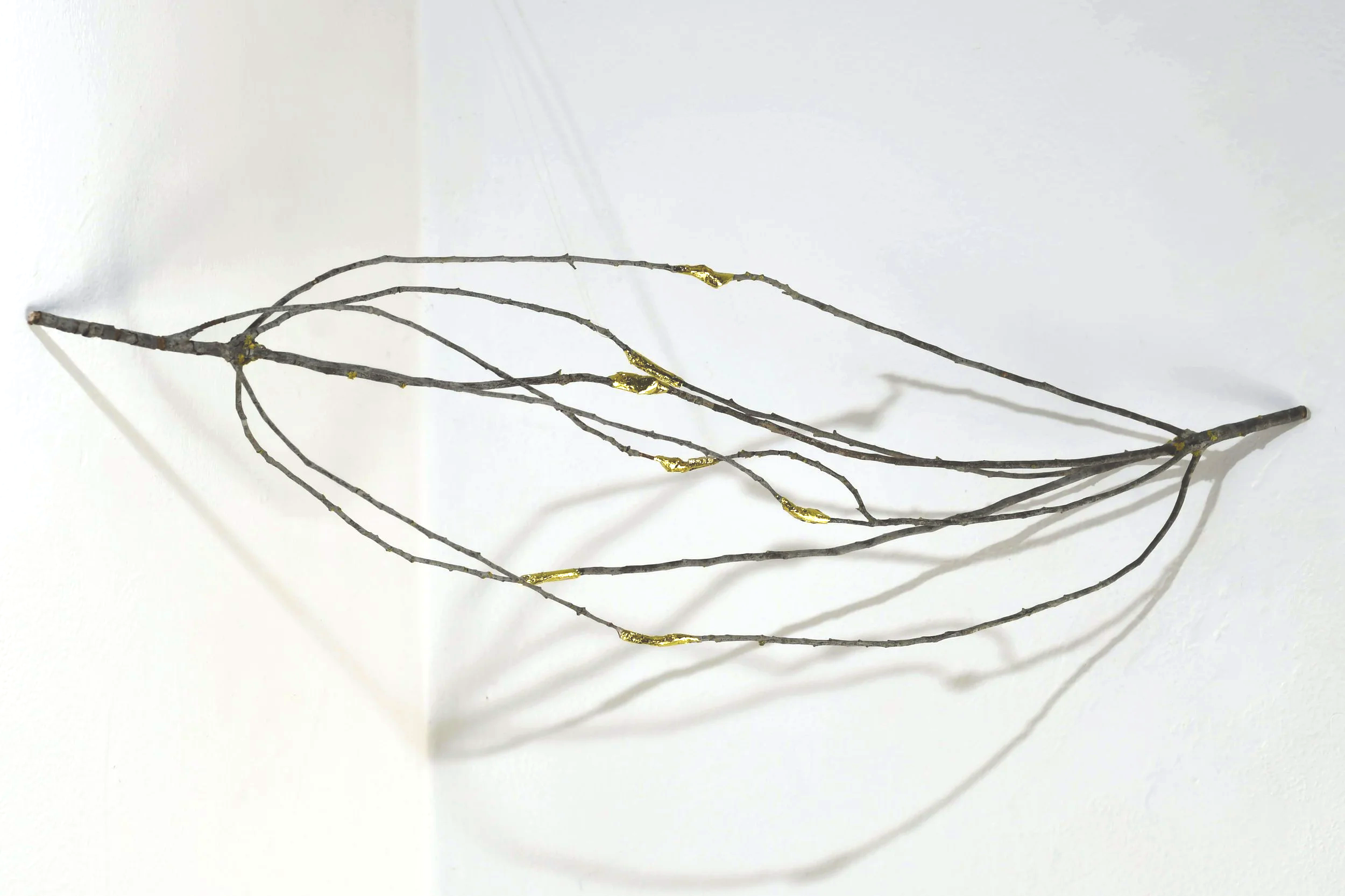 Study in Attachment #2. Branch, bandage, gold leaf. 2025