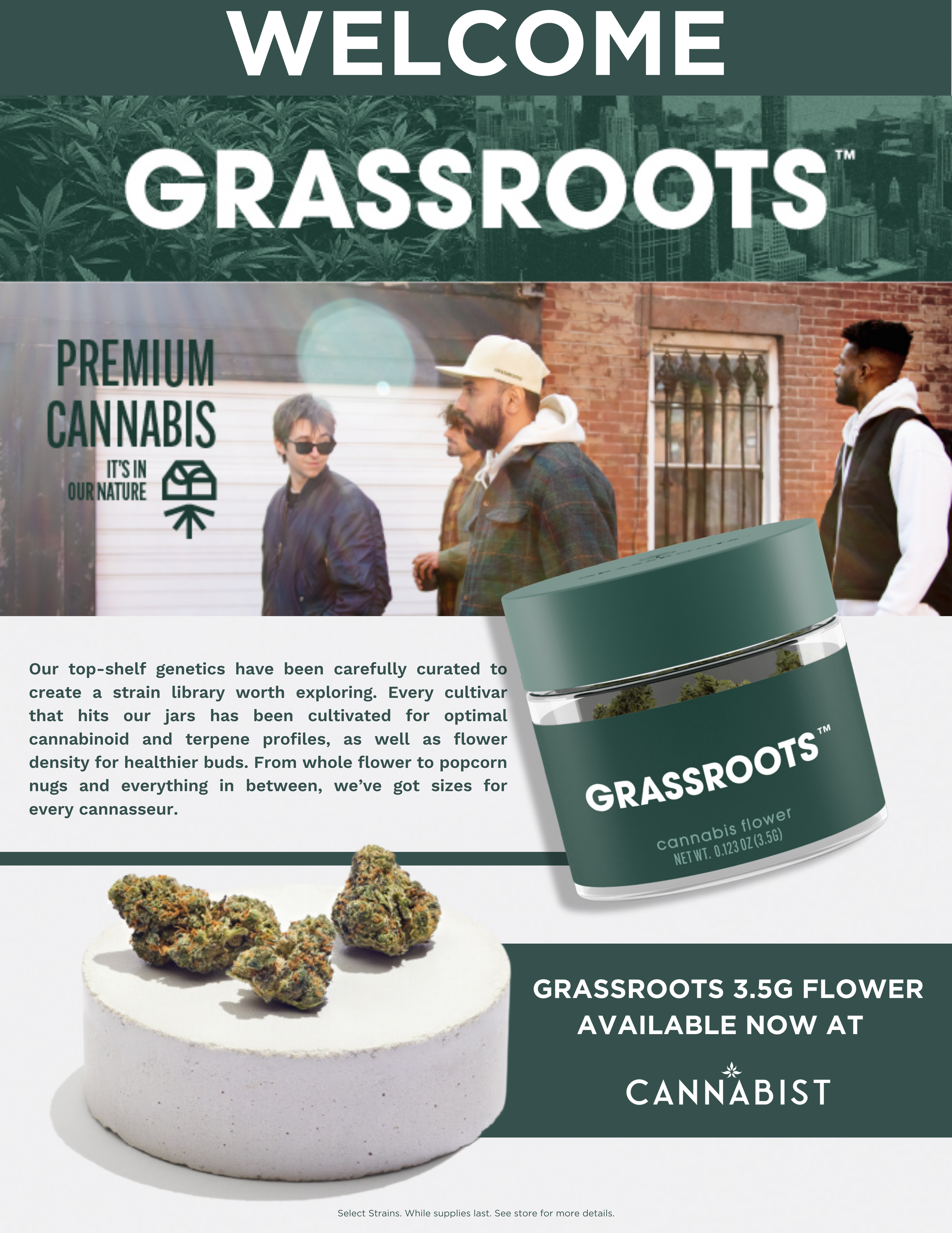 Poster welcoming to grassroots cannabis products. Features a group of people talking outside city buildings, a container labeled 'Grassroots' cannabis flower, and a few cannabis buds on a white surface. Text highlights premium cultivated cannabis ava
