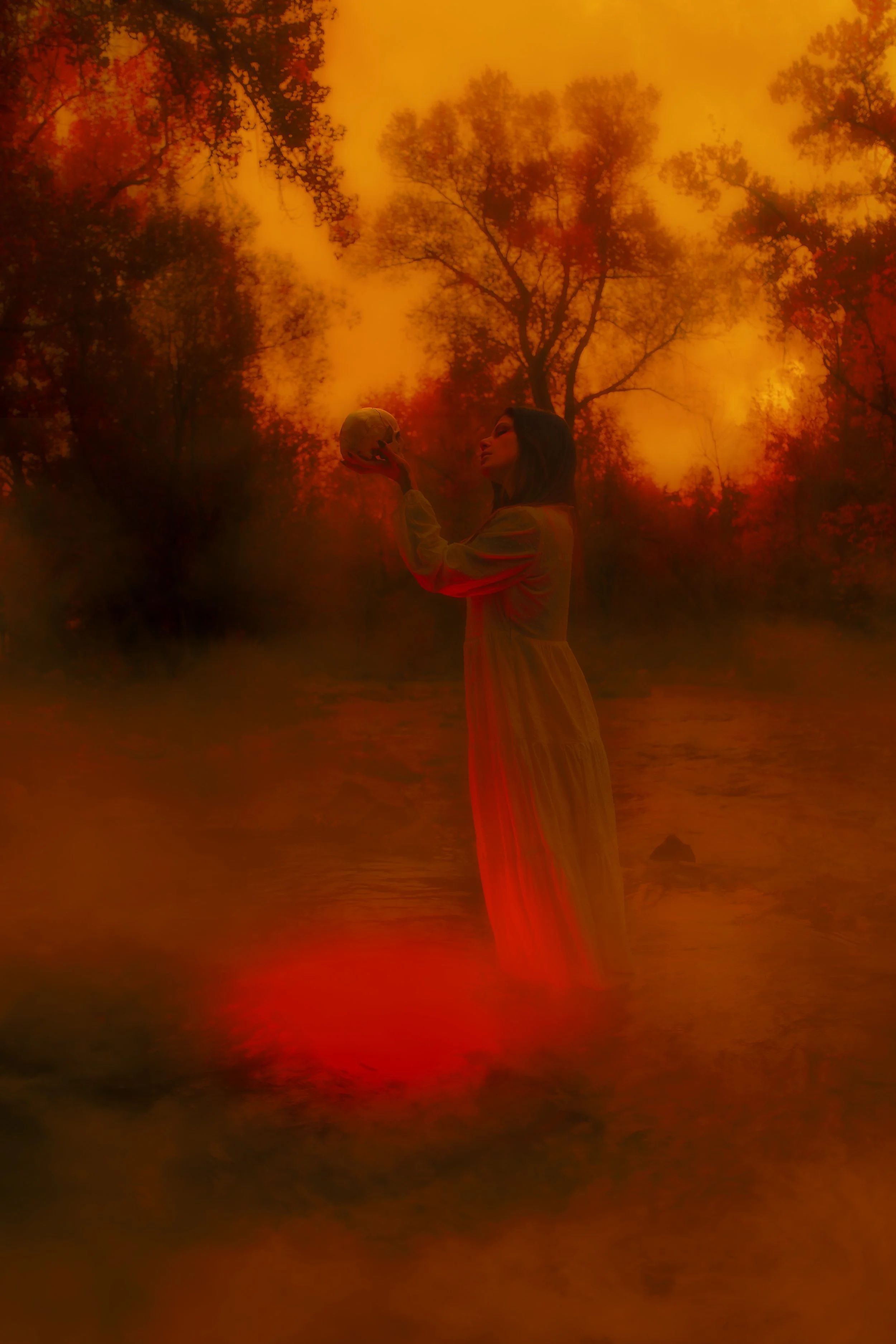 A woman in a long dress standing in a body of water at sunset, holding a skull and gazing at it against a backdrop of trees and a fiery orange sky.