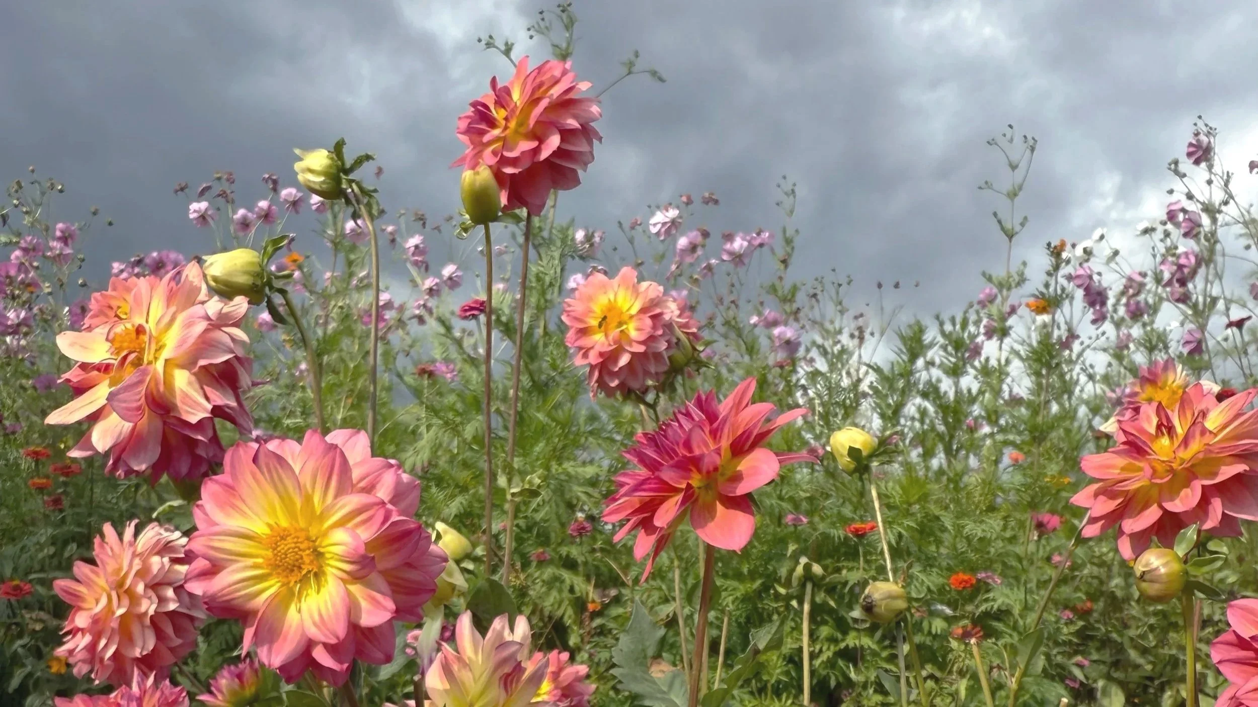 Welcome! Here's What You'll Find