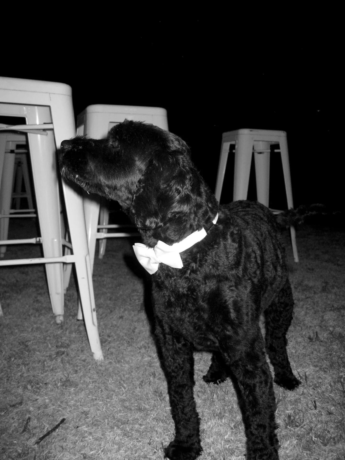 Later in the night&hellip; Ashka &amp; Keenans ❤️