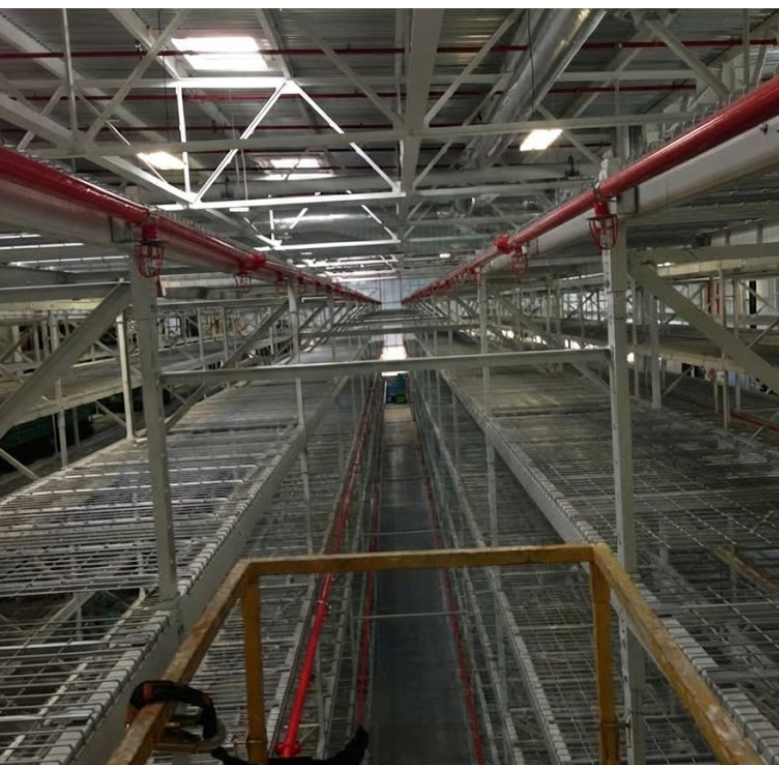 View inside an industrial warehouse with metal shelving units and red pipes running along the ceiling.