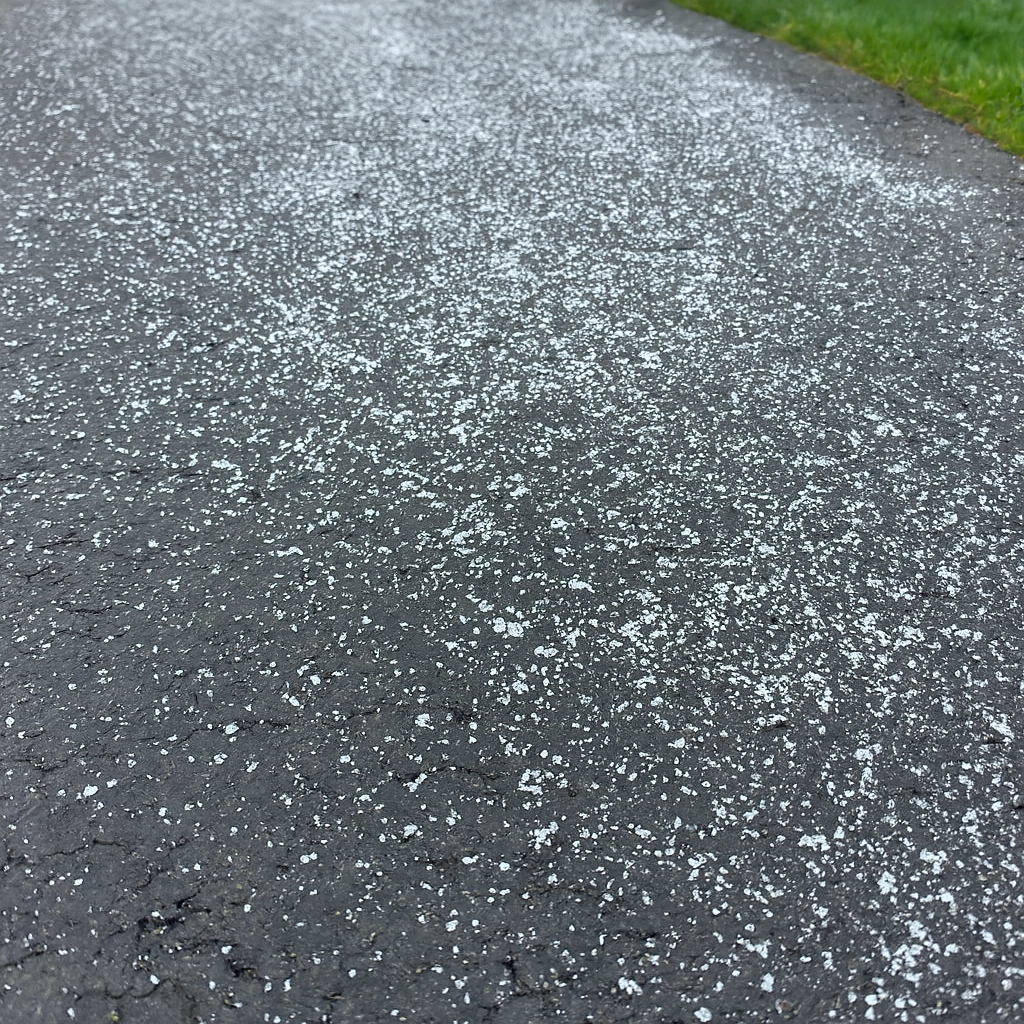 Winter Tip: Salt Smarter, Not Harder