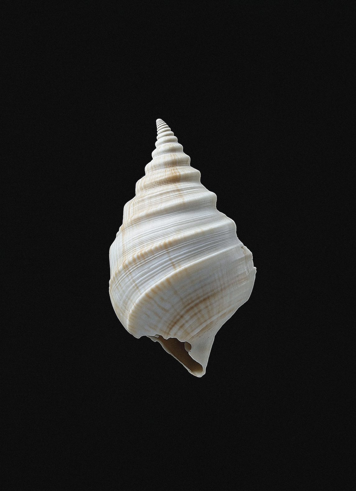 Screenshot 2026-01-17 at 9.24.37 AM.png