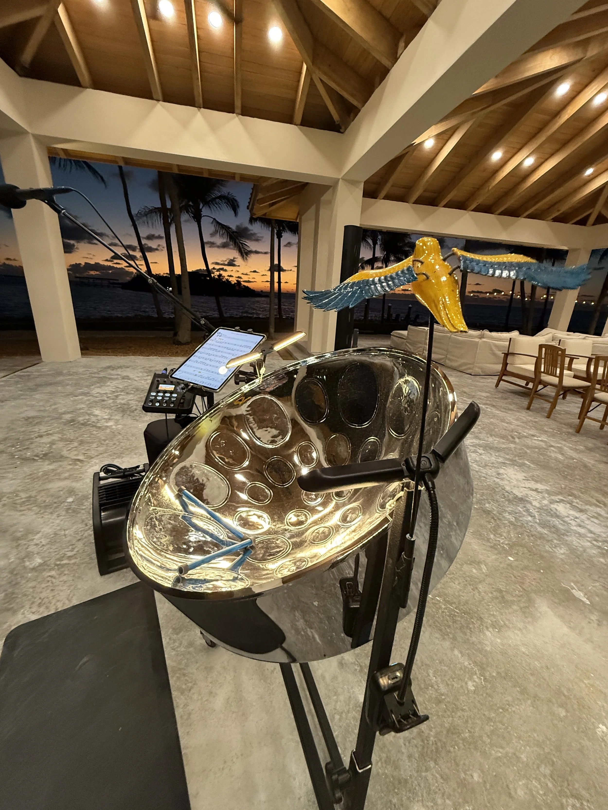 October 1, 2025: What a Professional Steel Drum Performer Needs at Your Event: Sound, Shade, Lighting &amp; Setup