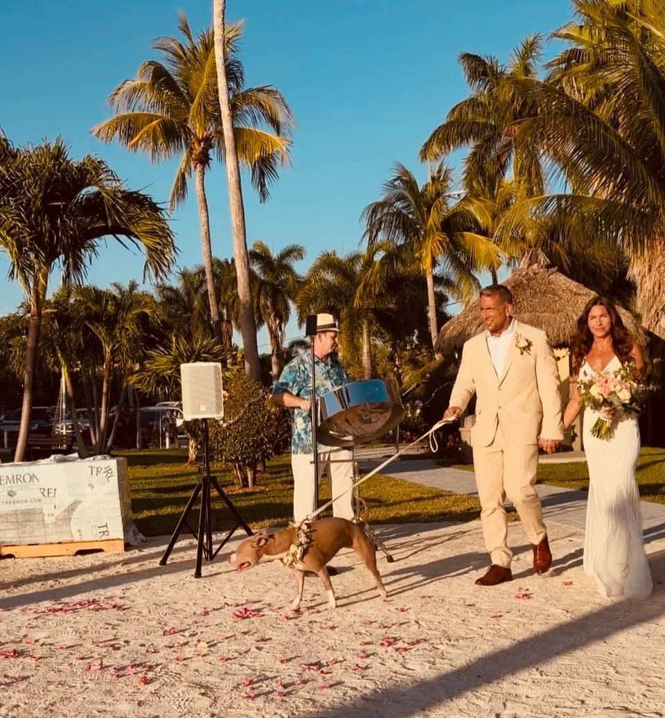 A couple getting married on a sandy beach with palm trees, a musician playing a steel drum, and a dog on a leash walking nearby. Sunset Beach, Also known as Sunset Park Beach, Key Colony Beach, Florida Keys