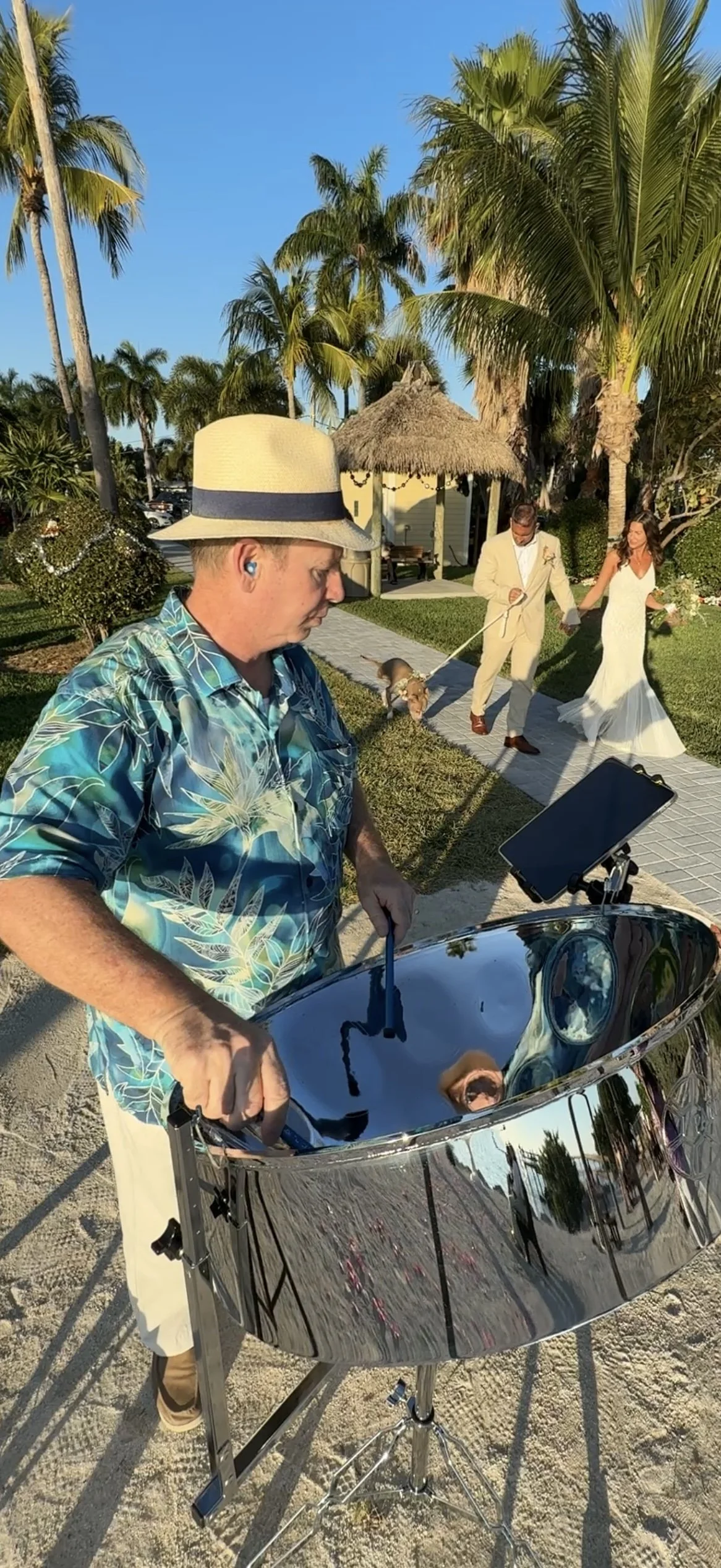 A musician playing a steel drum on a sandy outdoor setting with a tropical background, wedding couple walking hand in hand with their dog. Sunset Beach (also known as Sunset Park Beach) , at Key Colony Beach, Florida. In the Florida Keys