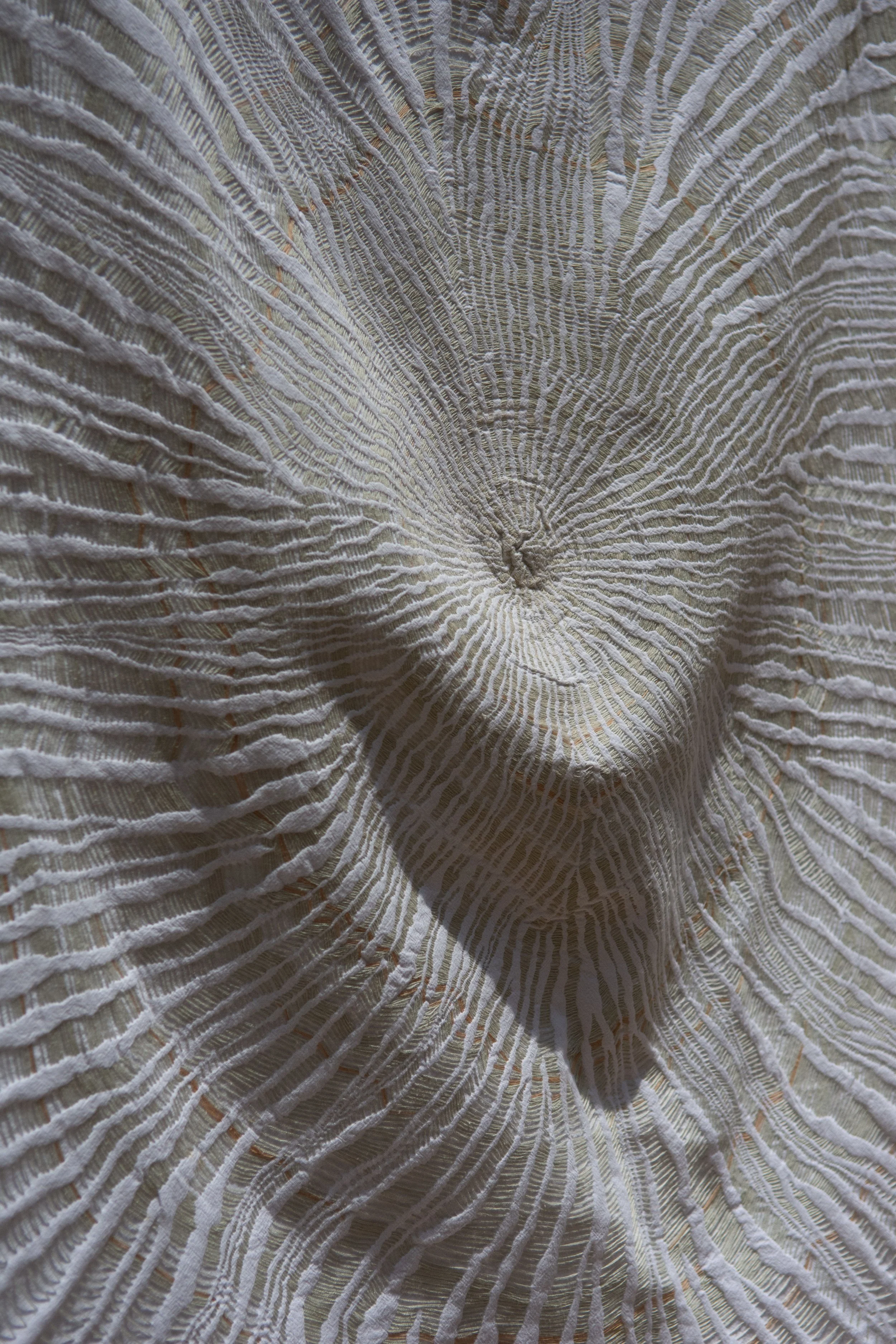 RE4_1558.jpg