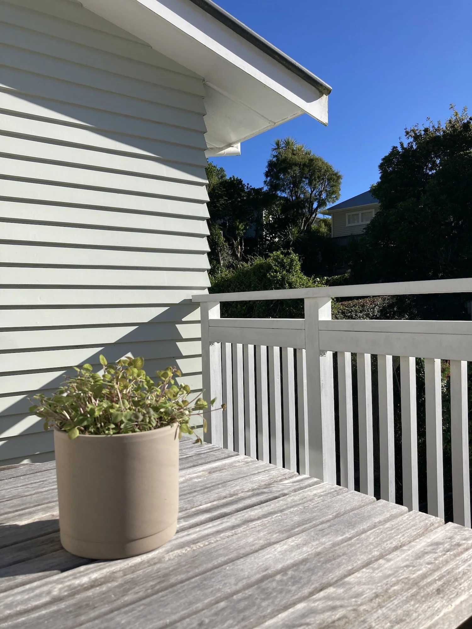 A small potted plant on a wooden outdoor table on a balcony, with a white railing, siding, and a clear blue sky in the background.