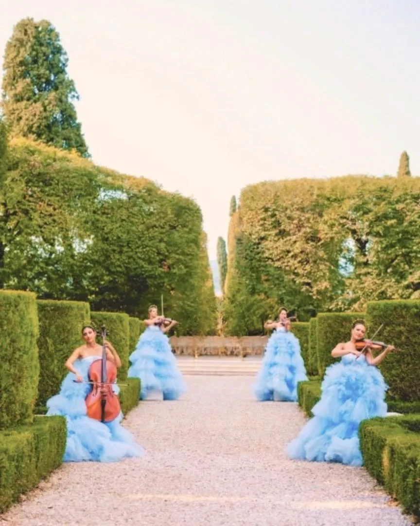 Beyond solo performance, The Royal Violinist provides access to an elite network of professional musicians known as the National Royal Chamber Collective. 

Through The Royal Violinist, bespoke ensembles and accompaniment can be curated to match your